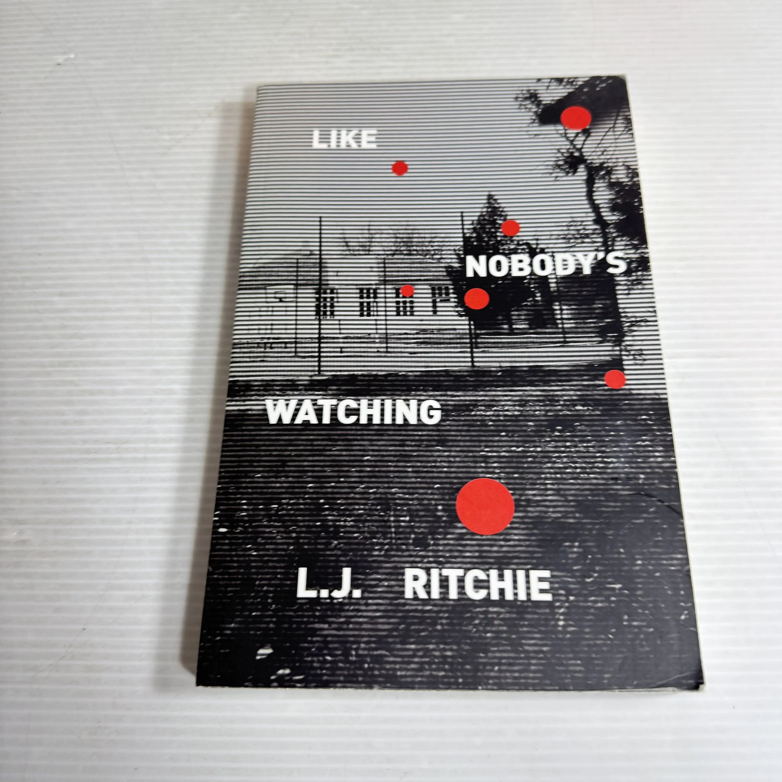 Like Nobody's Watching - L.J. Ritchie