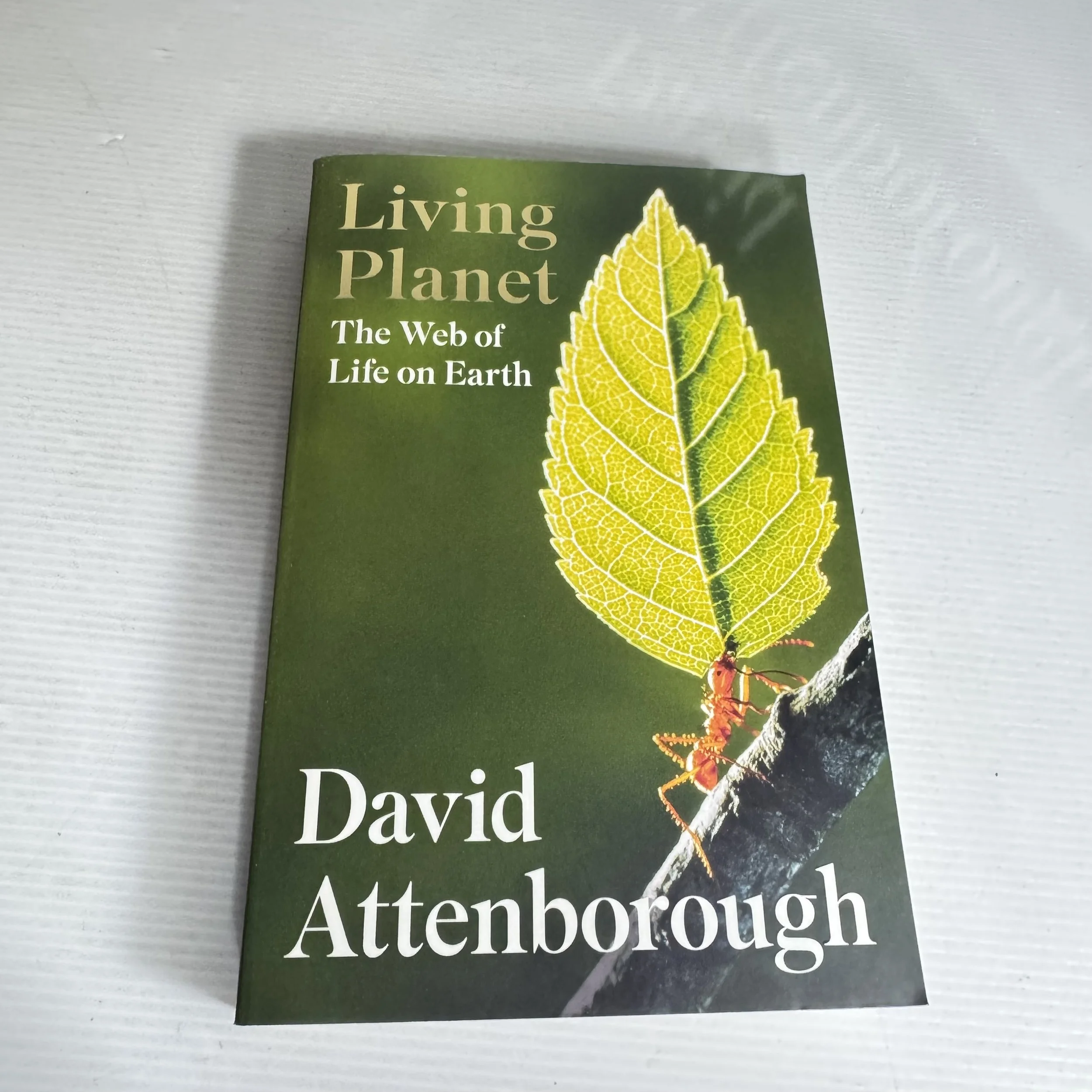 Living Planet : The Web of Life on Earth - David Attenborough