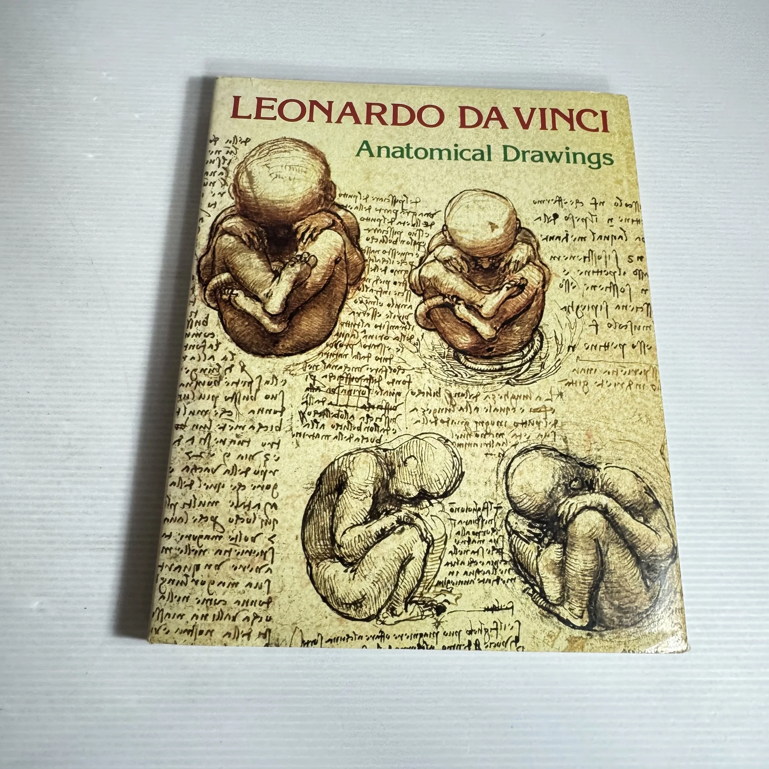 Anatomical Drawings - Leonardo Da Vinci
