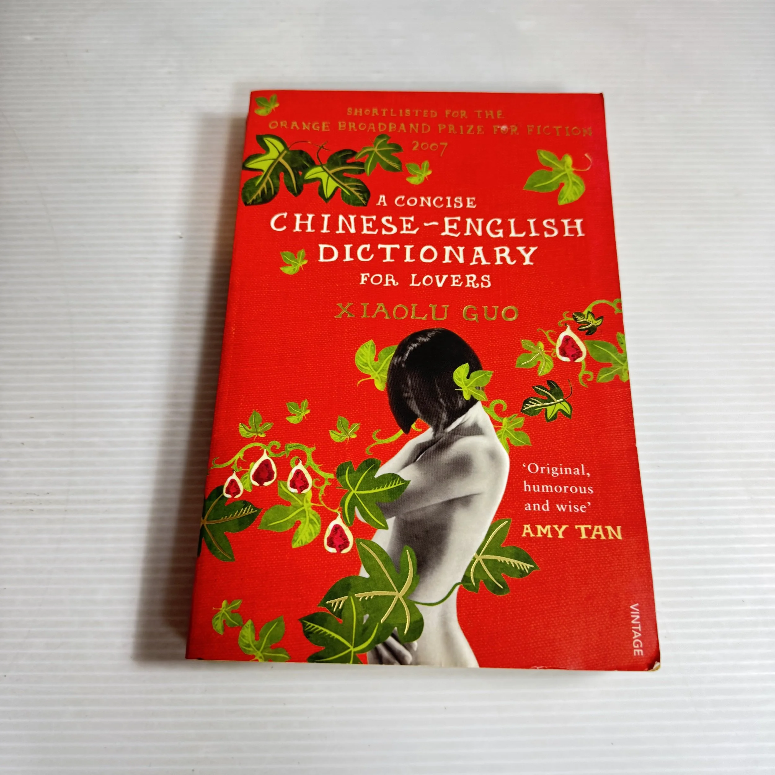 A Concise Chinese-English Dictionary For lovers - Xiaolu Gui