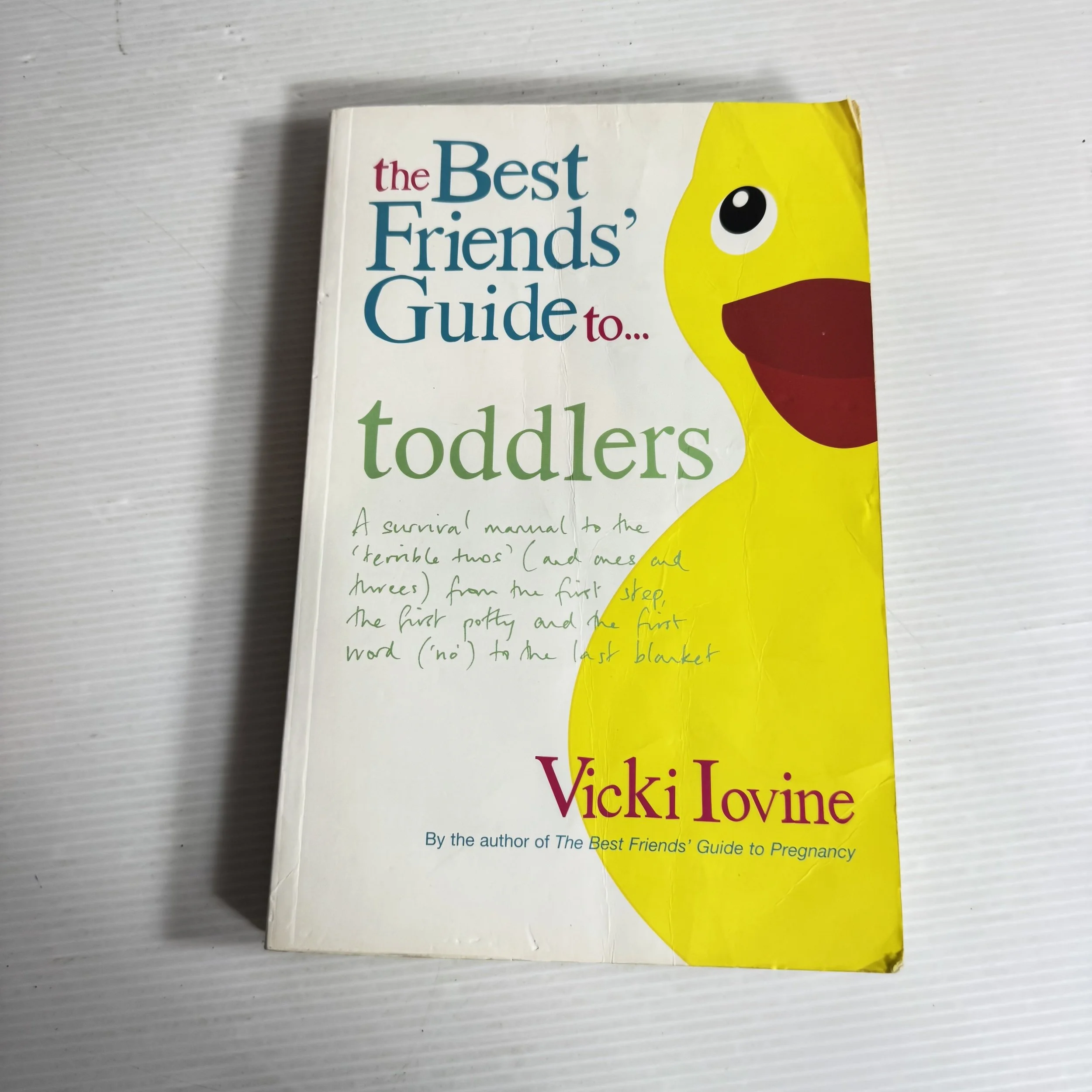 The Best Friends' Guide to Toddlers - Vicki Lovine