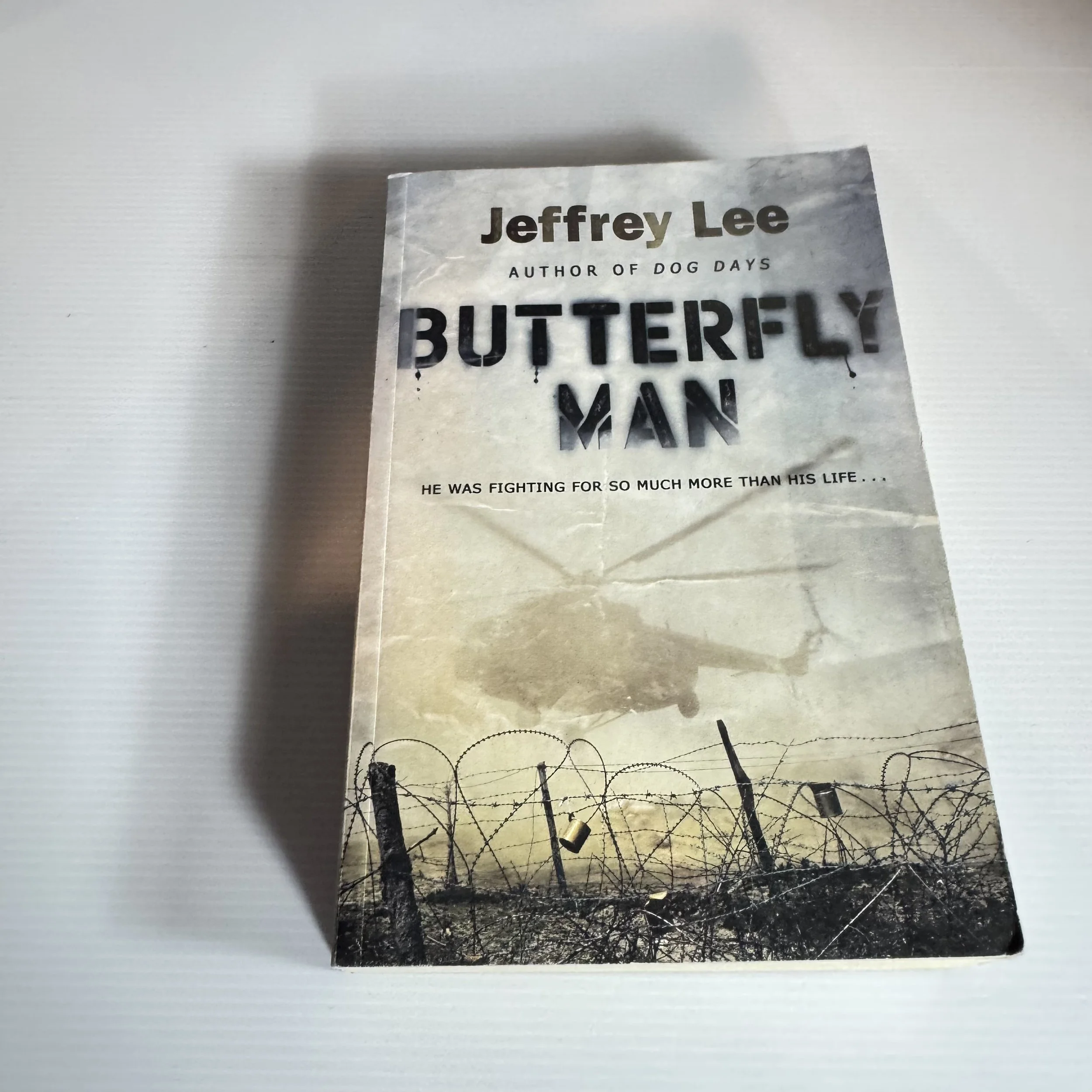 Butterfly Man - Jeffrey Lee