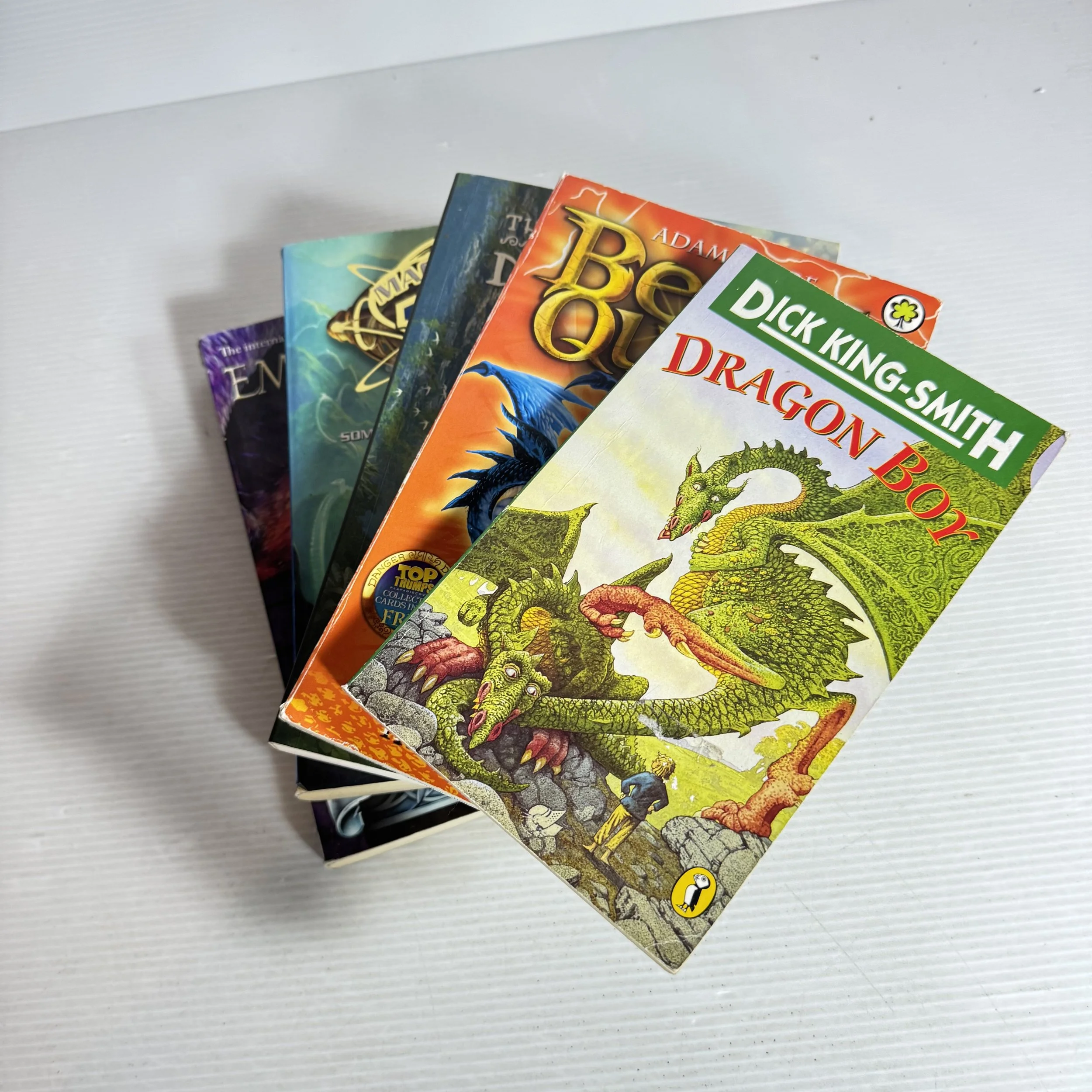 Dragon Themed Children's Book Bundle x 5 (642) Mixed Authors