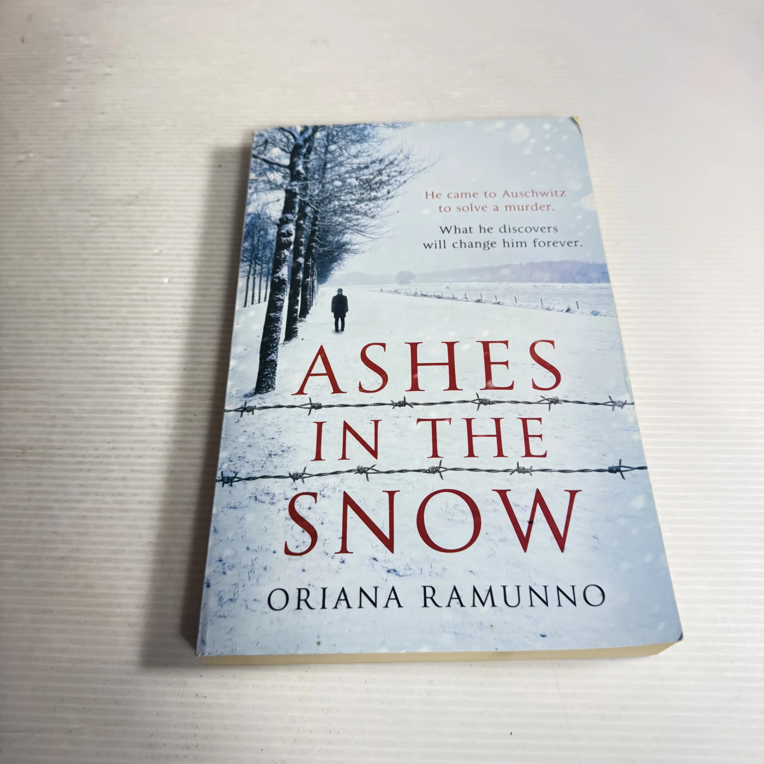 Ashes In The Snow - Oriana Ramunno