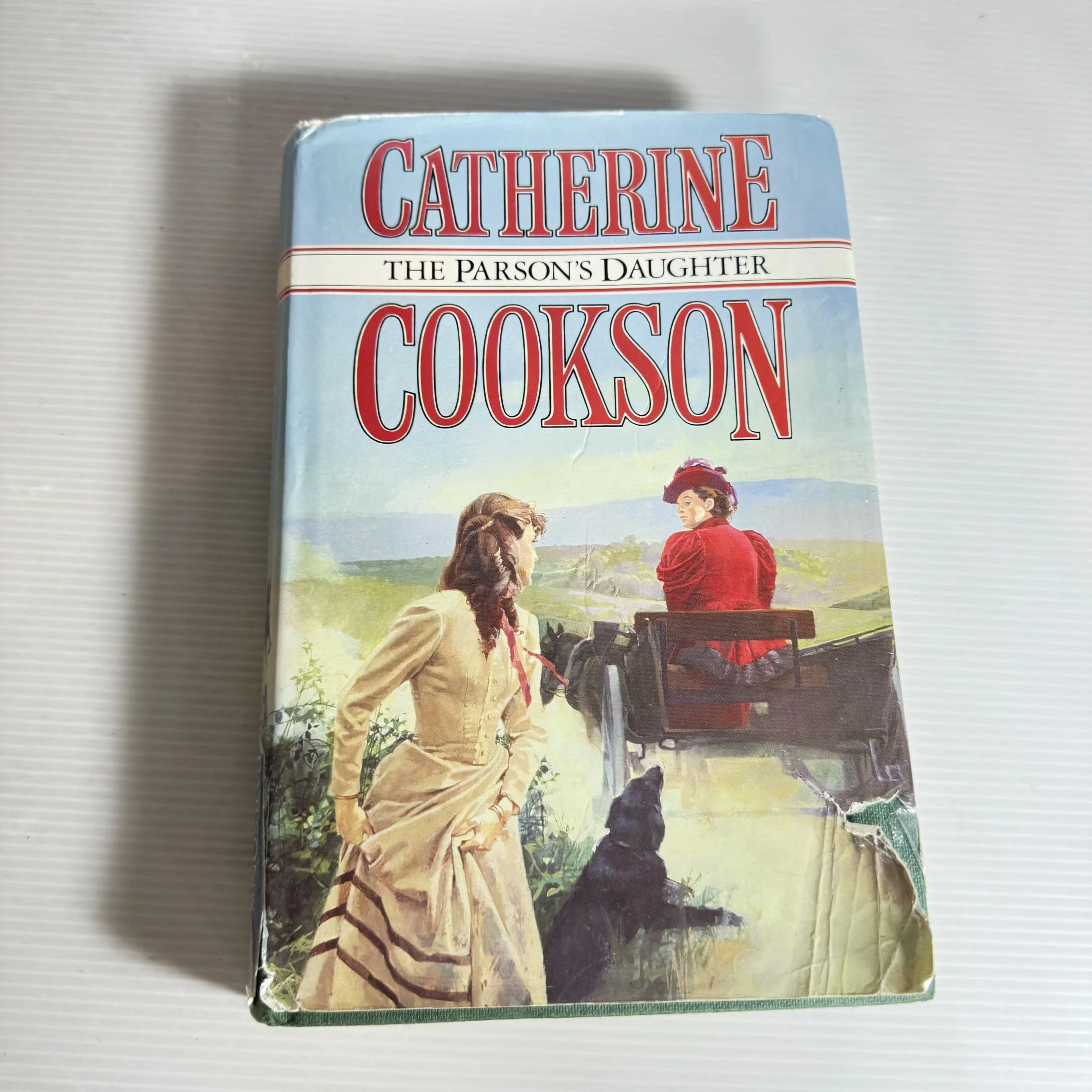 The Parson's Daughter - Catherine Cookson (1987)