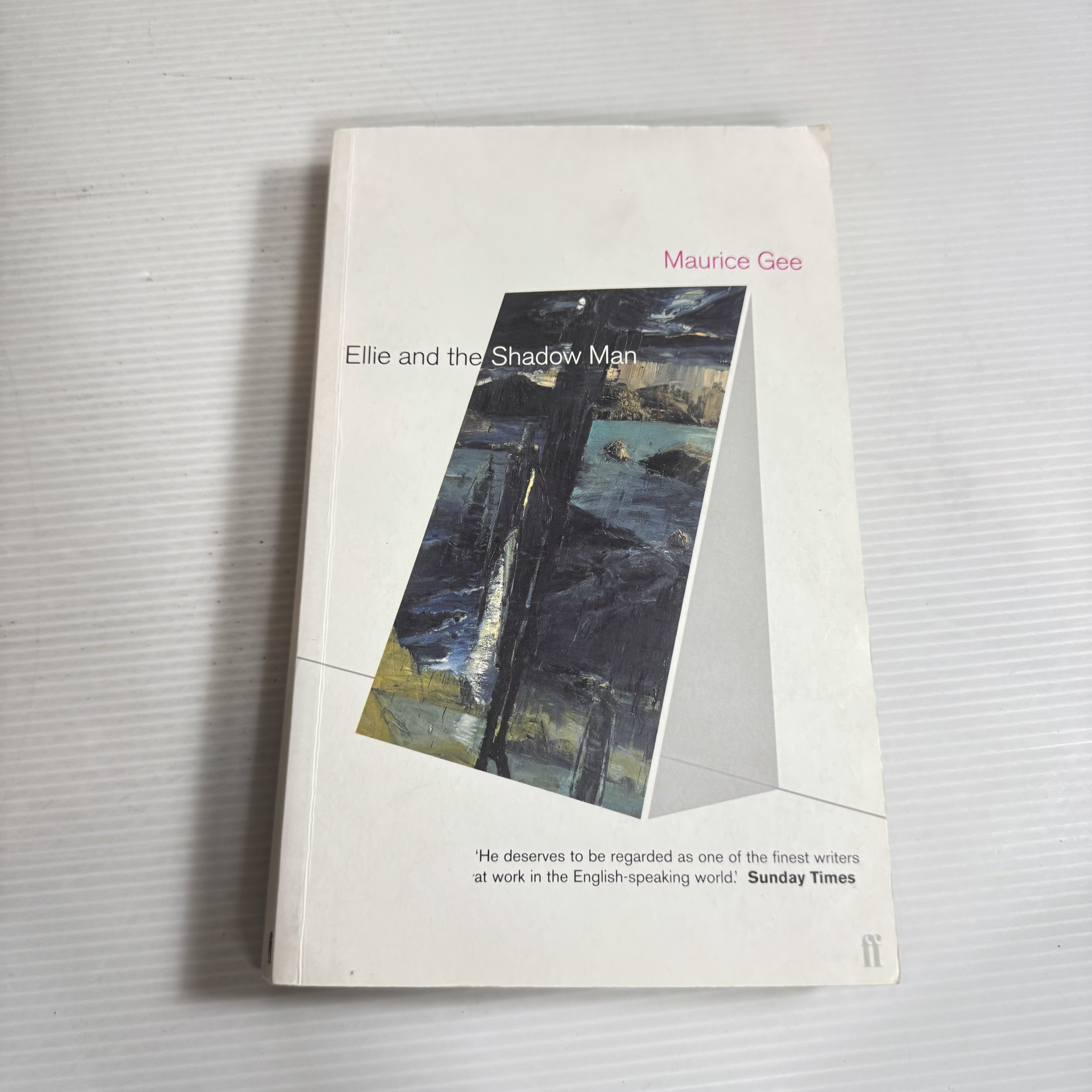 Ellie and the Shadow Man - Maurice Gee