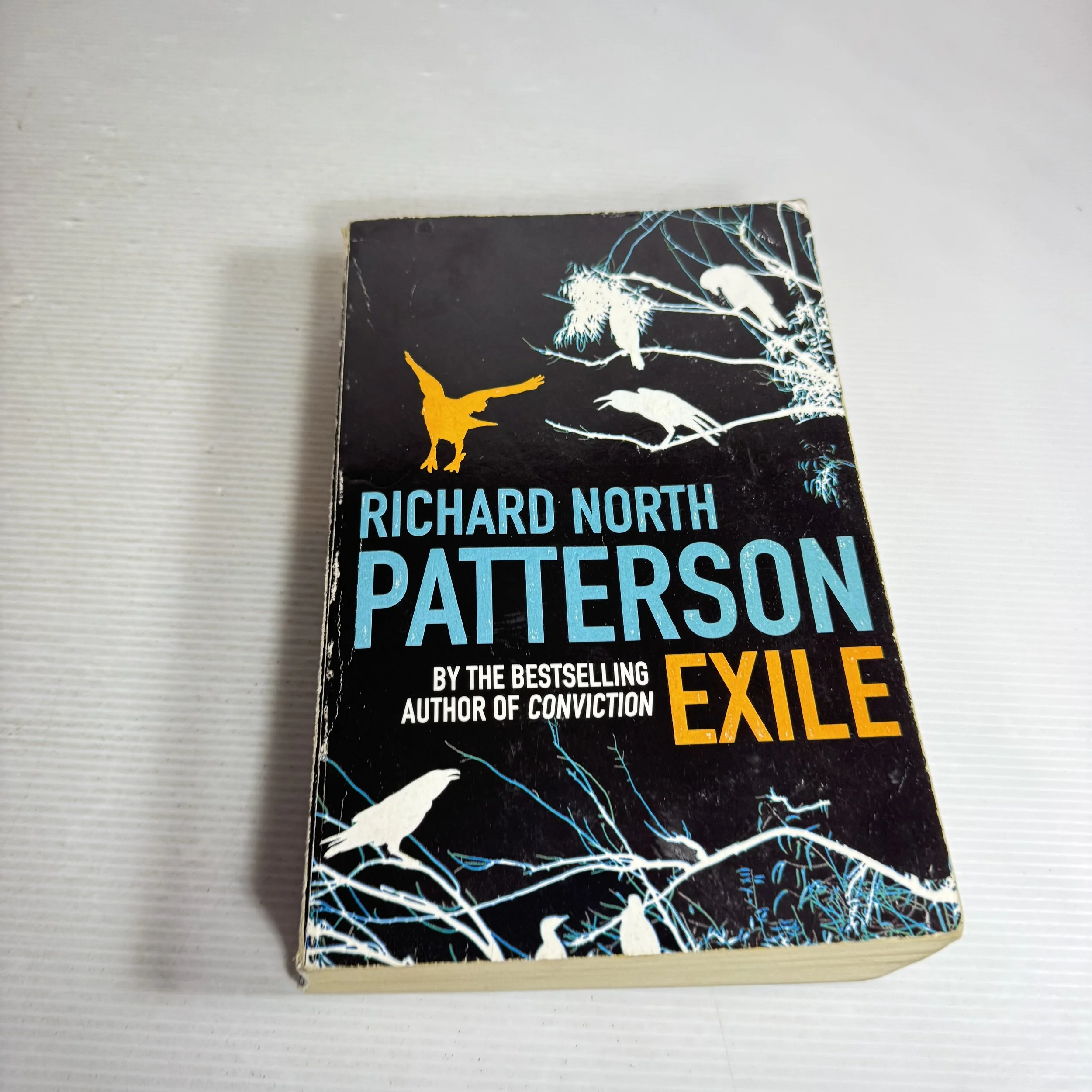 Exile - Richard North Patterson