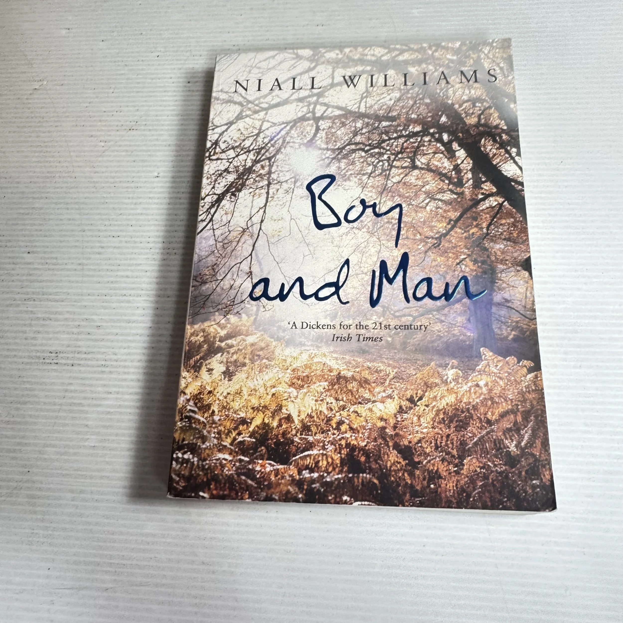 Boy And Man - Niall Williams