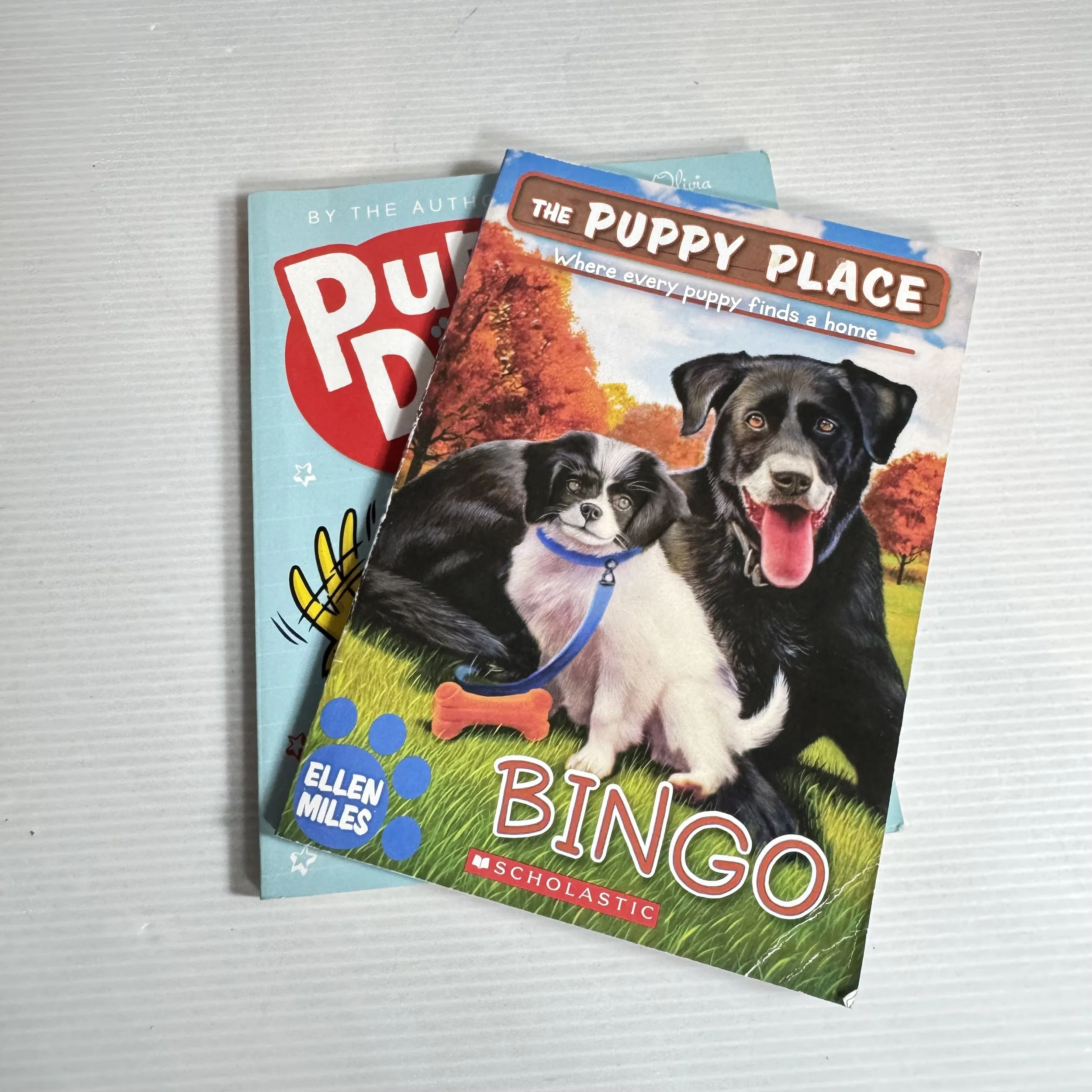 Children's Puppy Book Bundle x 2 Puppy Diary : The Great Toy Rescue & The Puppy Place : Bingo