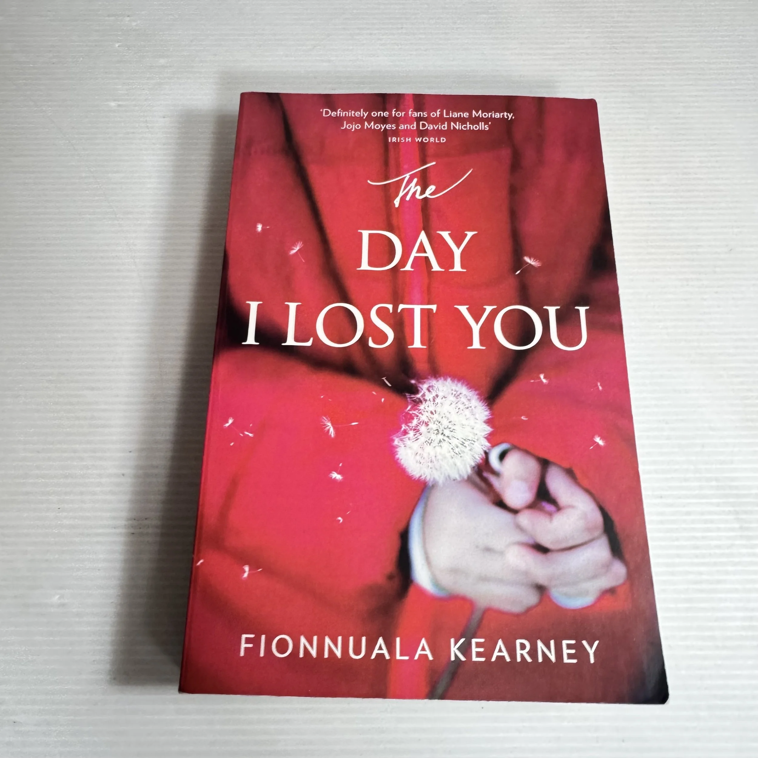 The Day I Lost You - Fionnuala Kearney
