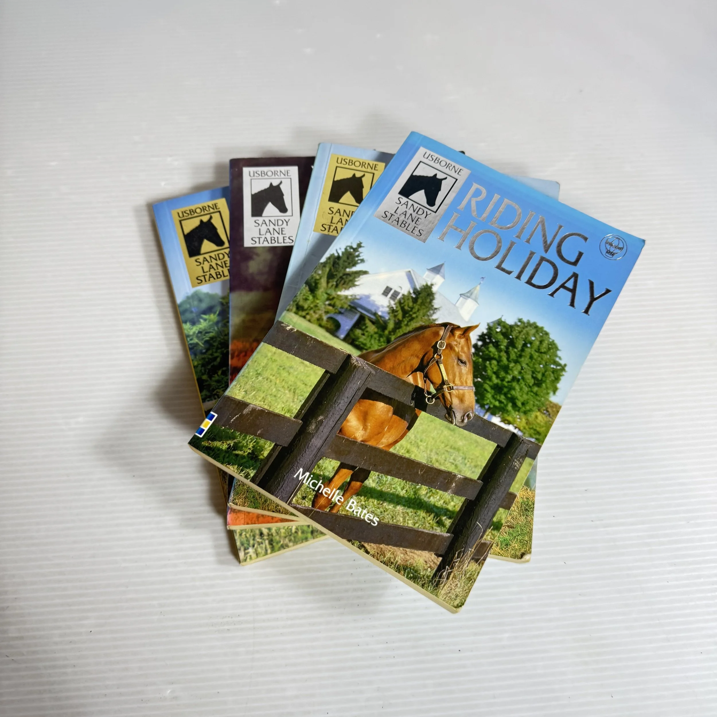 Sandy Lane Stables Book Bundle x 4 The Midnight Horse, Riding Holiday, Dream Pony, & Horse in Danger
