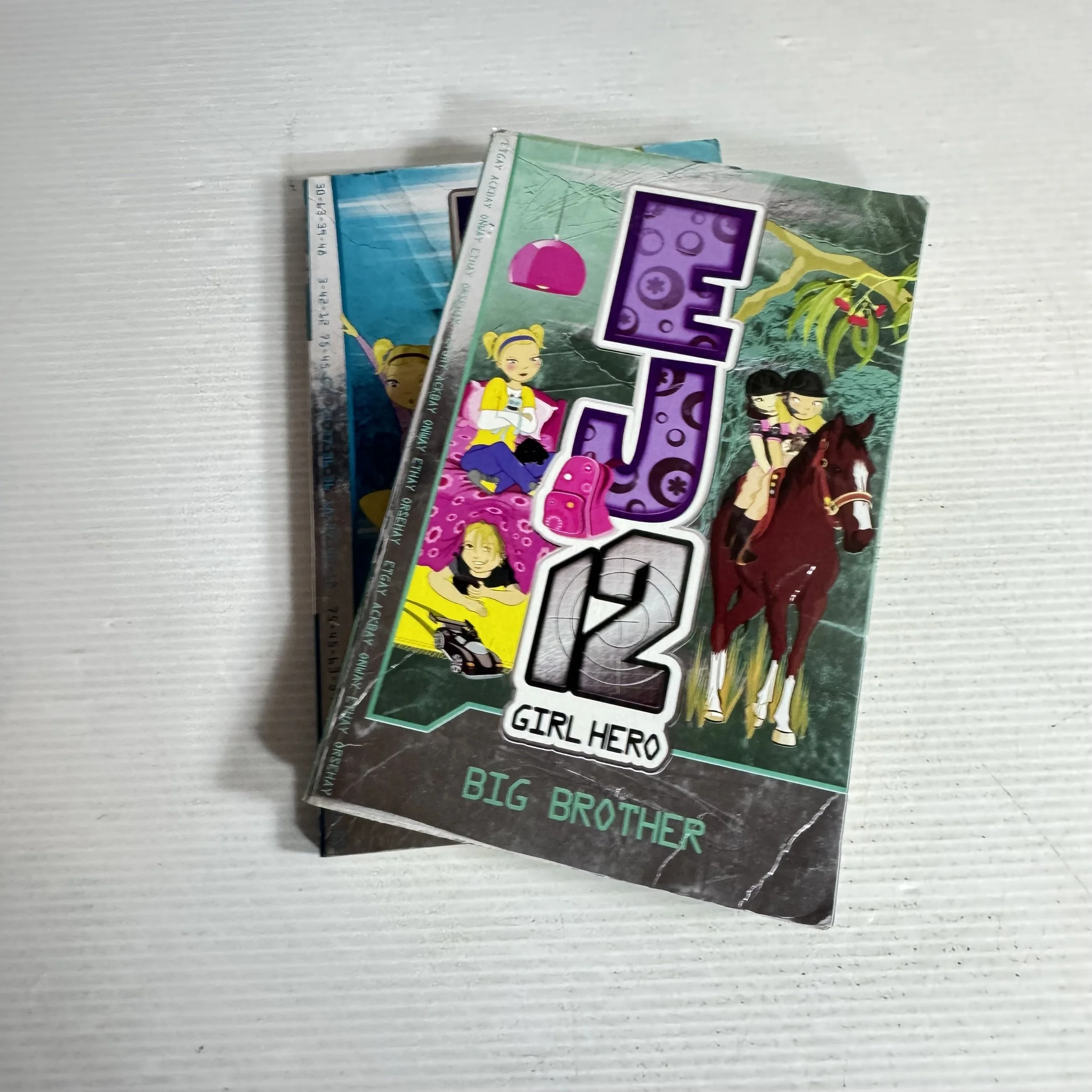 EJ 12 Girl Hero Book Bundle x2 Books :Jump Start & Big Brother (513)