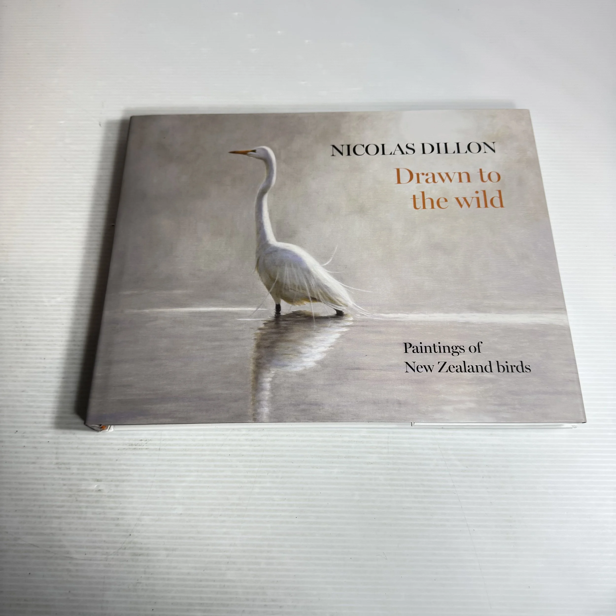 Drawn to the Wild : Paintings of New Zealand Birds - Nicolas Dillon