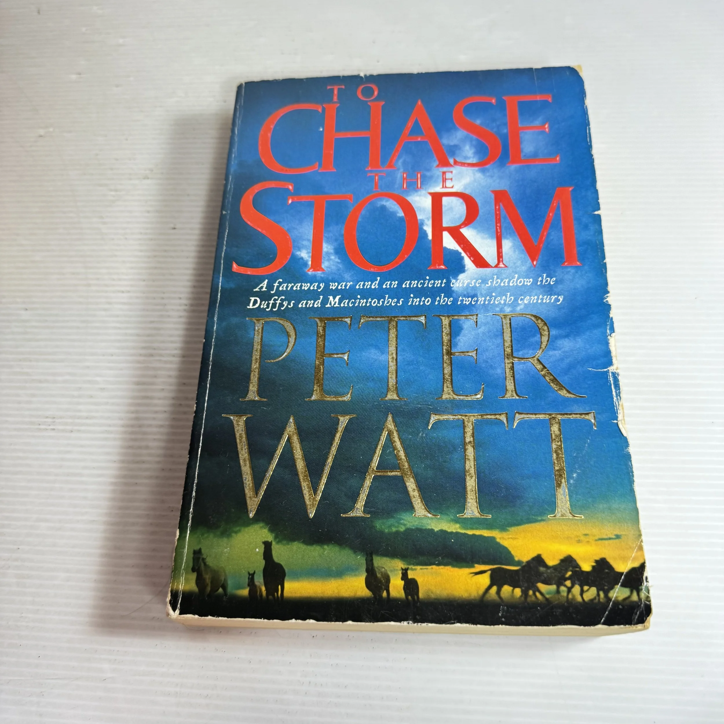 To Chase the Storm - Peter Watt