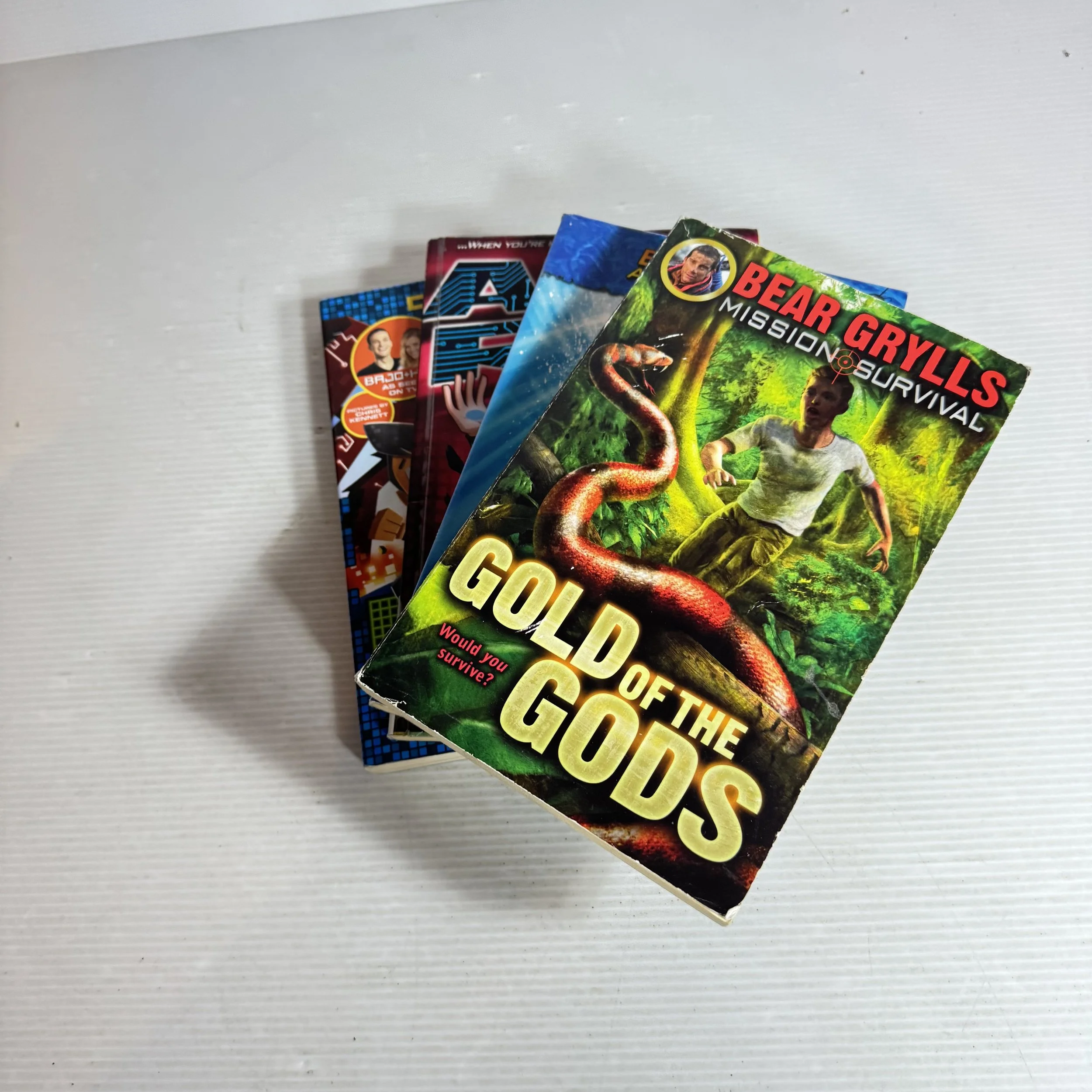 Adventure Children's Chapter Book Bundle x 4 Books (502)