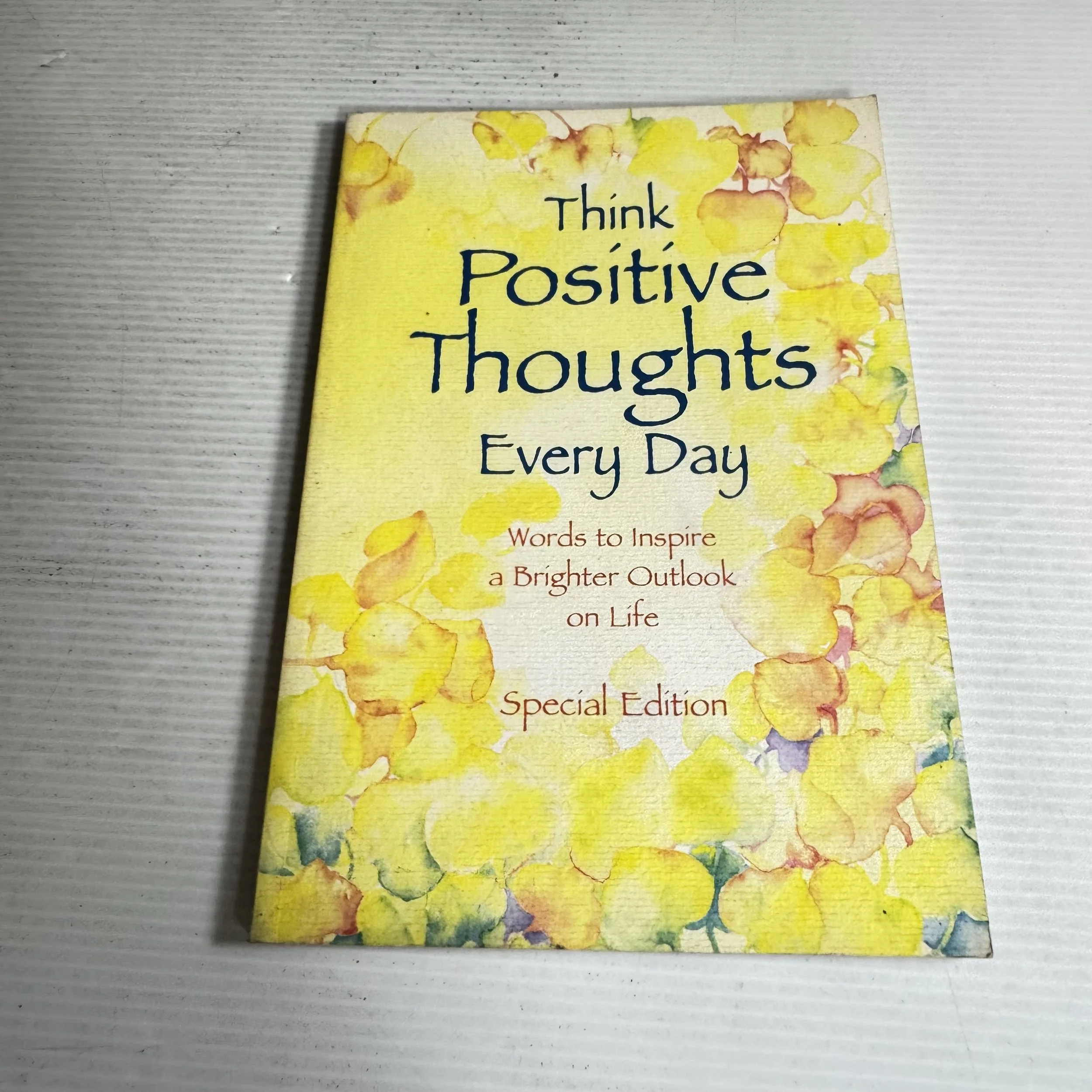 Think Positive Thoughts Every Day : Words to Inspire a Brighter Outlook on Life (Special Edition) - Patricia Wayant
