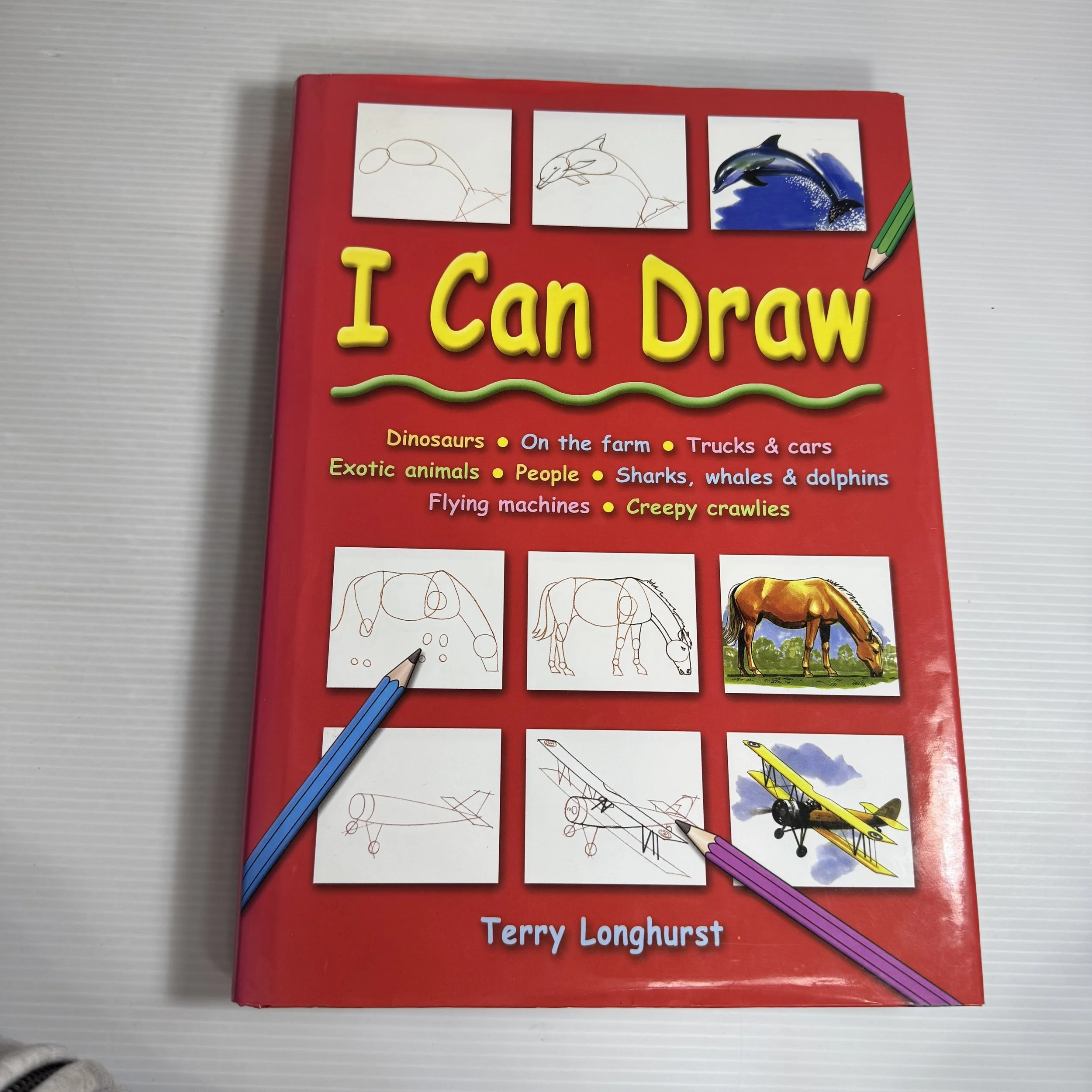 I Can Draw - Terry Longhurst