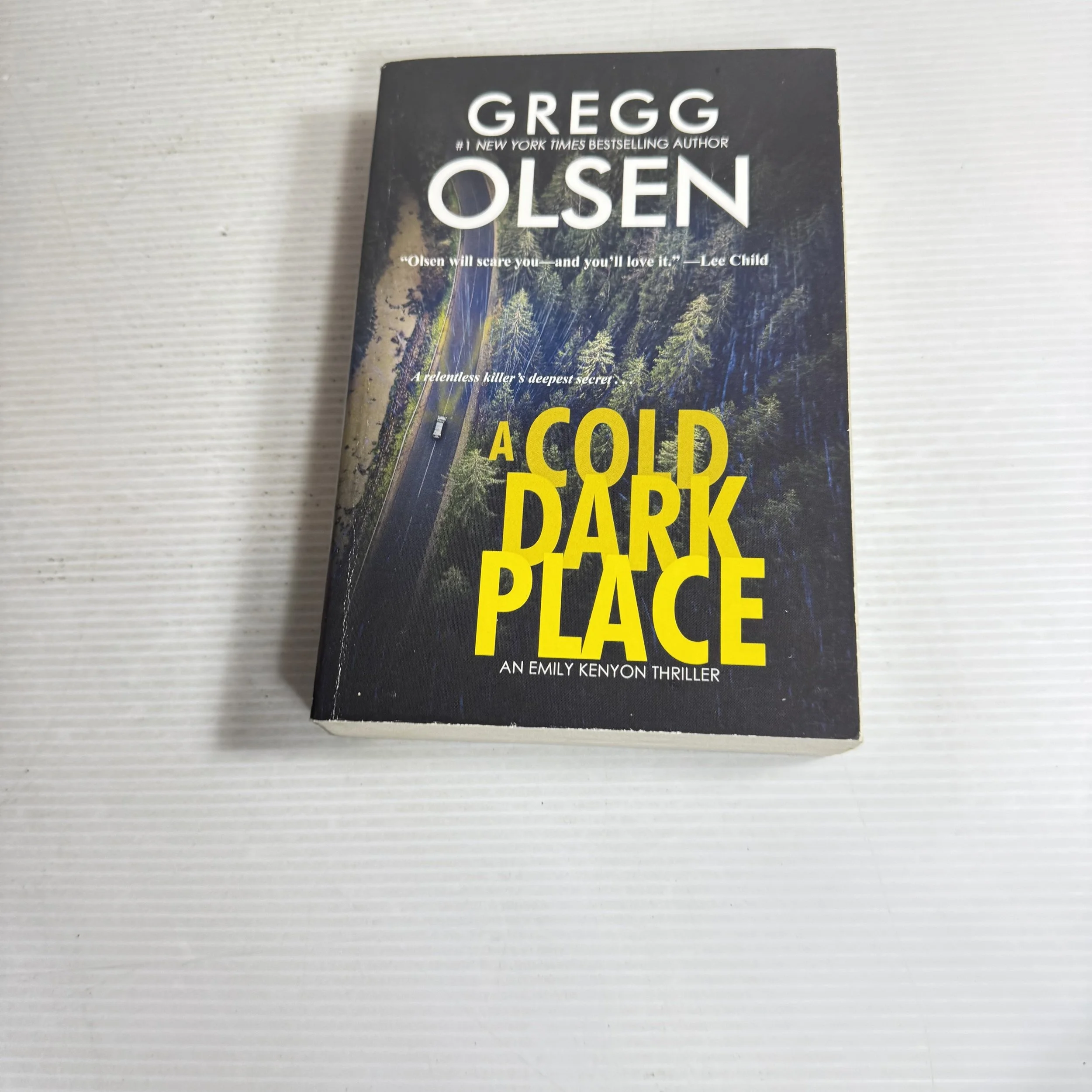 A Cold Dark Place : An Emily Kenyon Thriller - Gregg Olsen