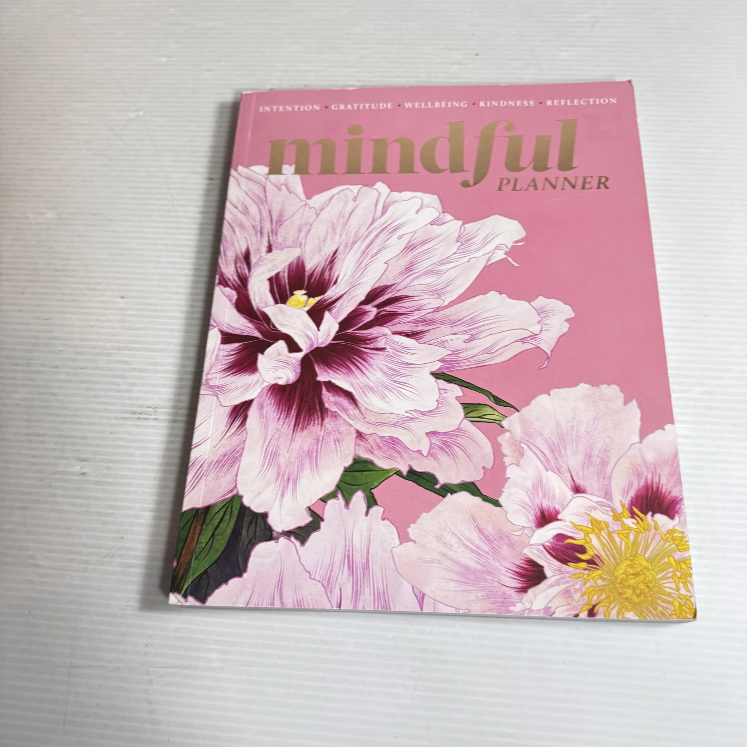 Mindful Planner : Intention Gratitude Wellbeing Kindness Reflection