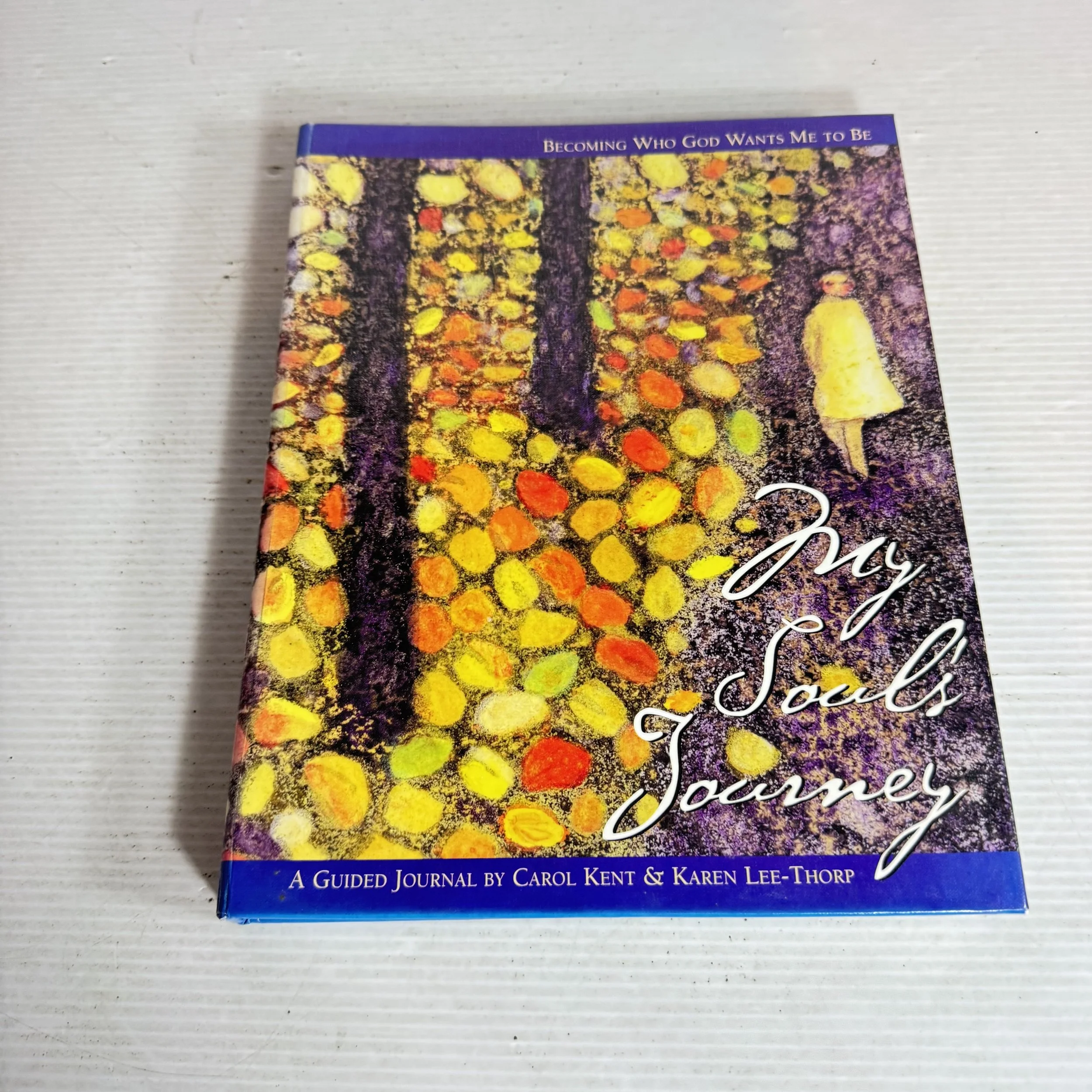 My Soul's Journey: Becoming Who God Wants Me To Be - Carol Kent and Karen Lee-Thorp