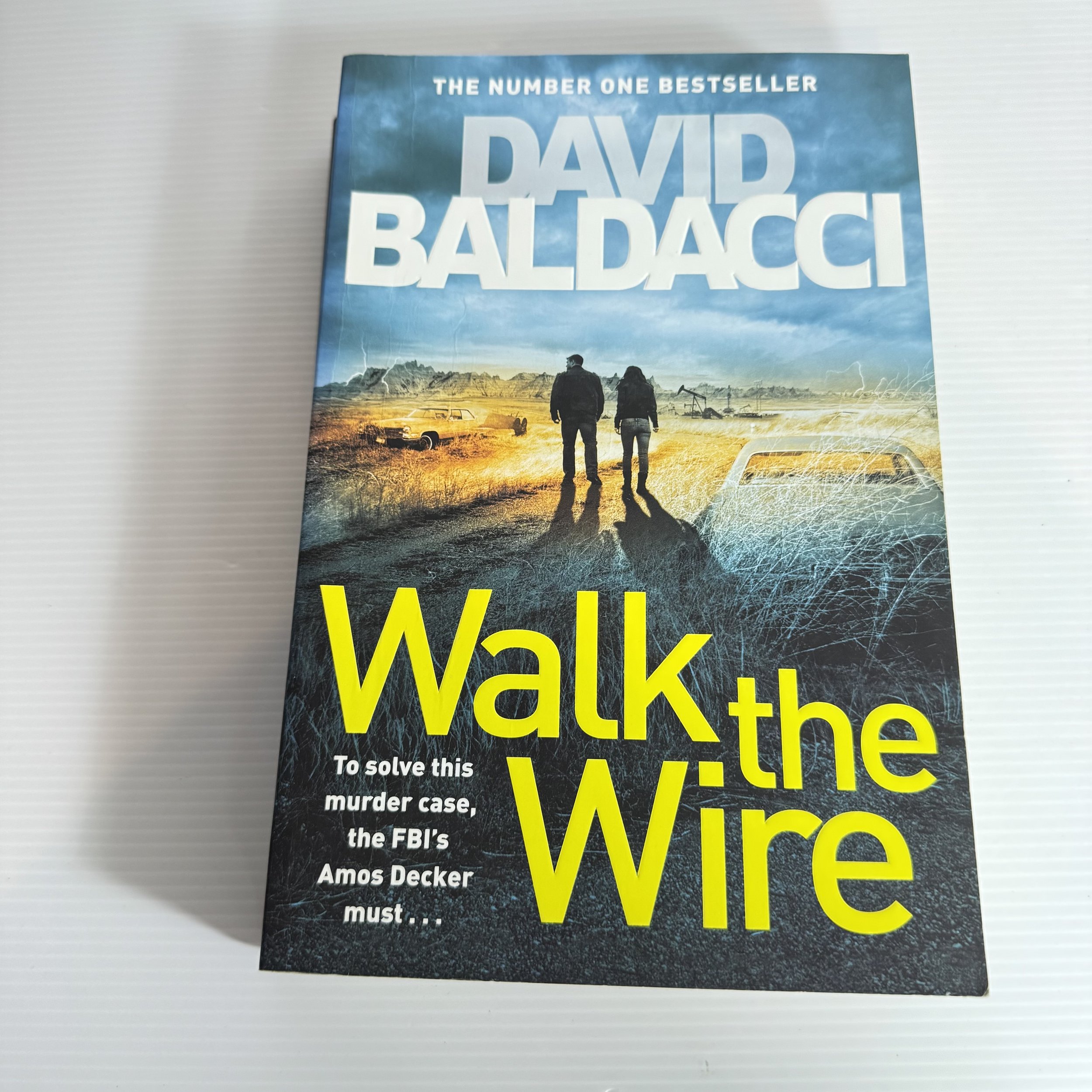Walk the Wire - David Baldacci