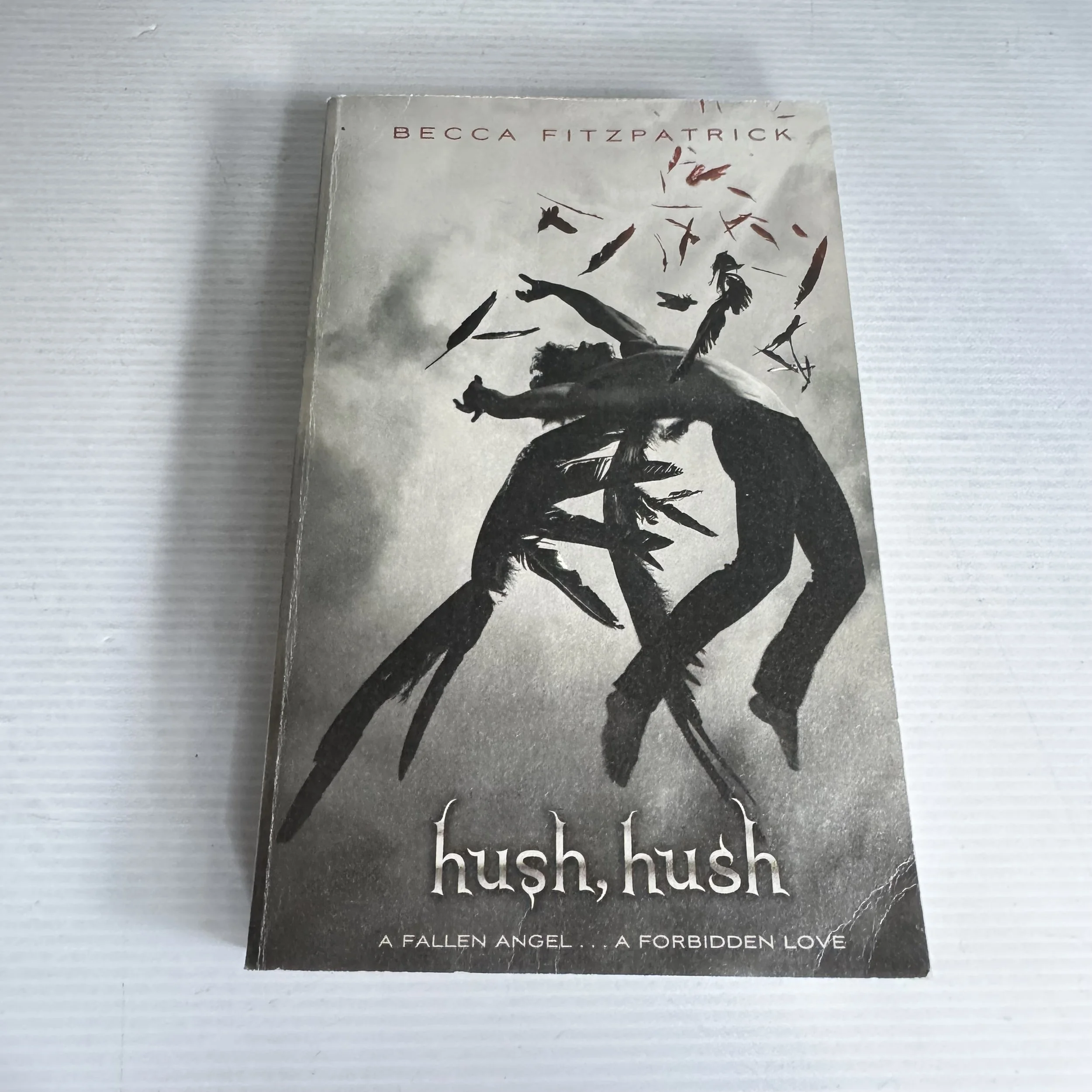 Hush, Hush - Becca Fitzpatrick