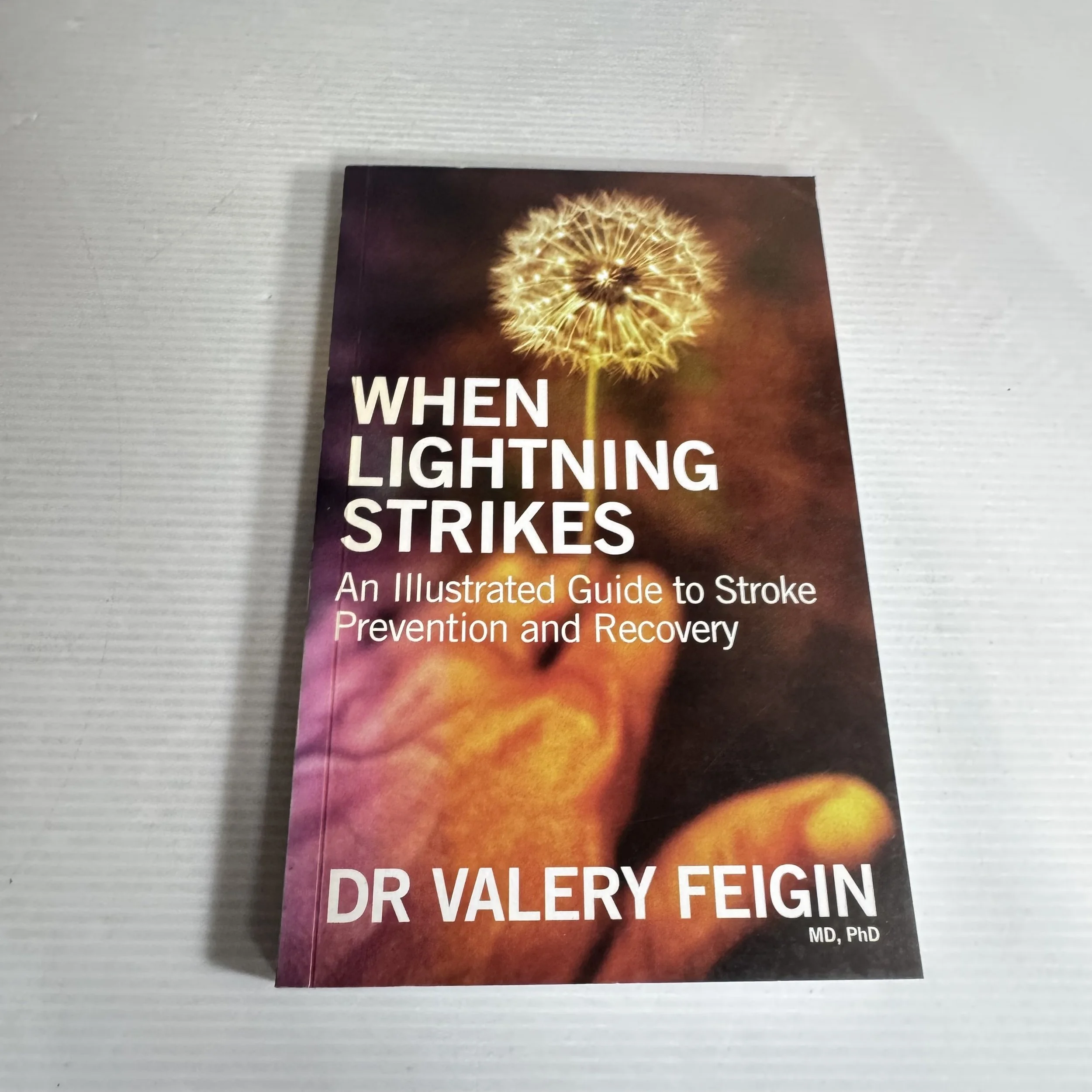 When Lightning Strikes : An Illustrated Guide to Stroke Prevention & Recovery - Dr Valery Feigin MD, PhD.
