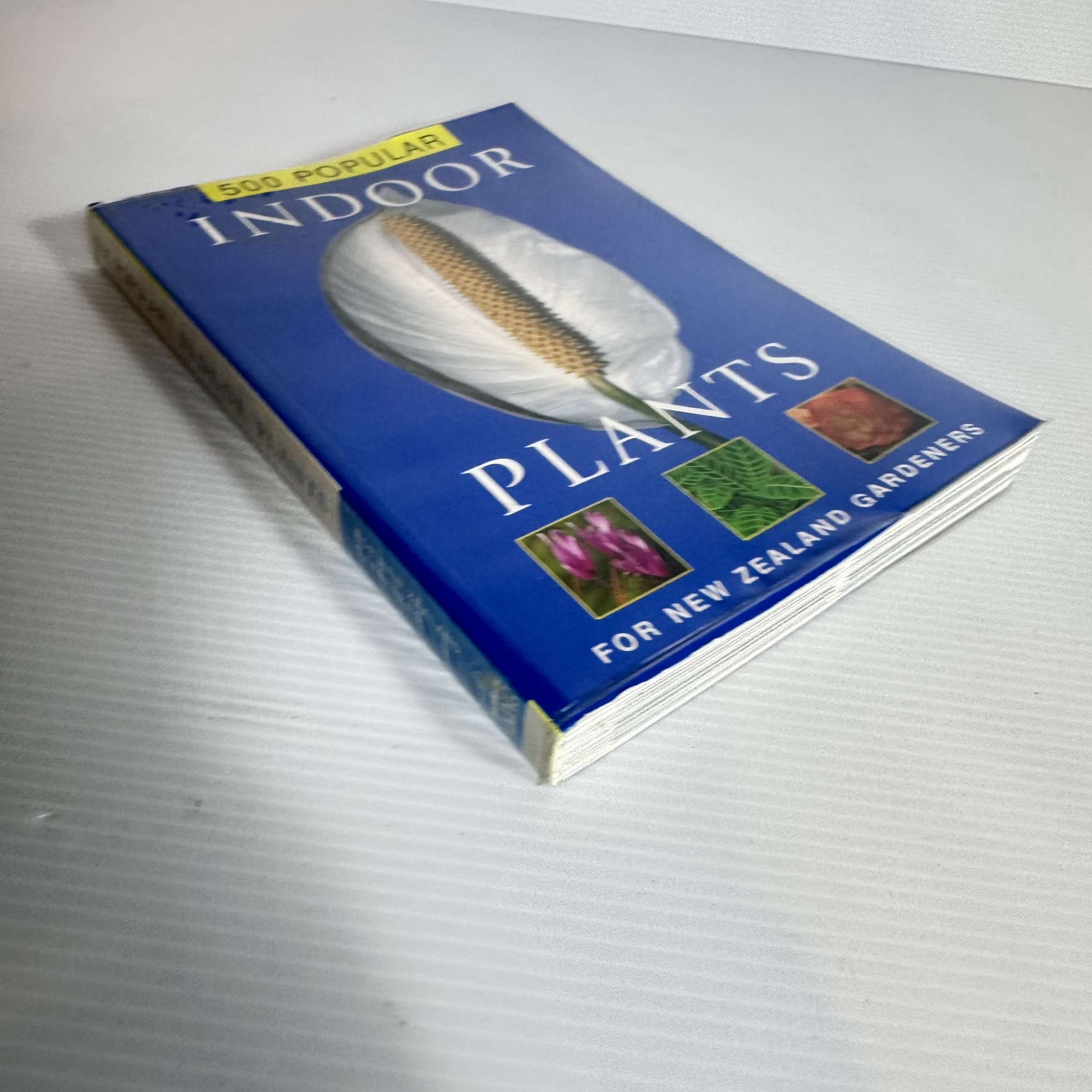 IMG_4270.jpeg