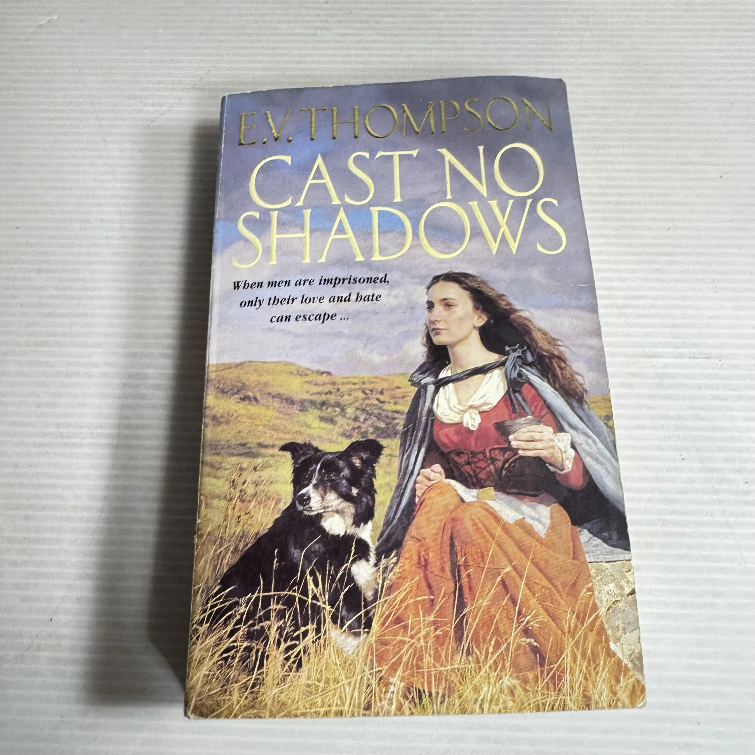 Cast No Shadows - E.V. Thompson