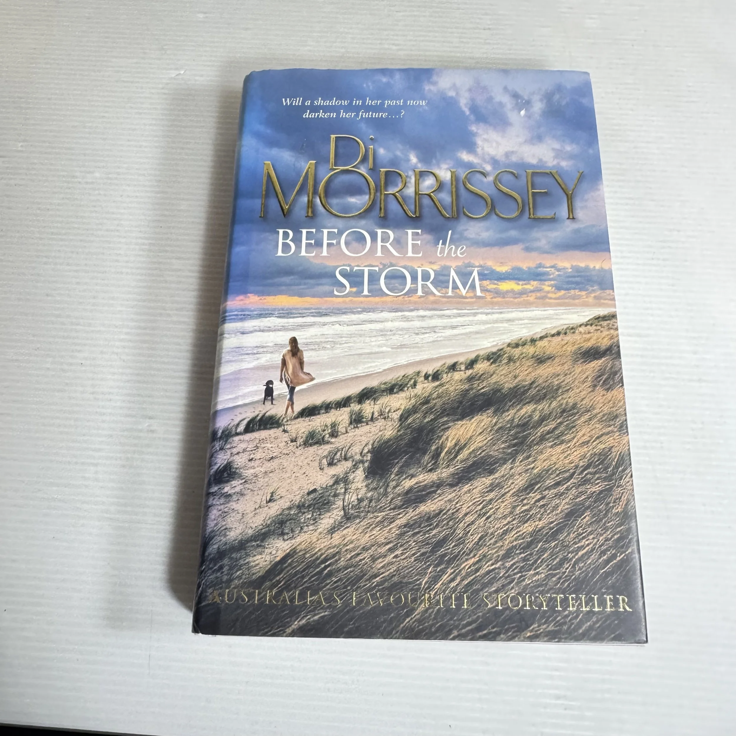 Before The Store - Di Morrissey