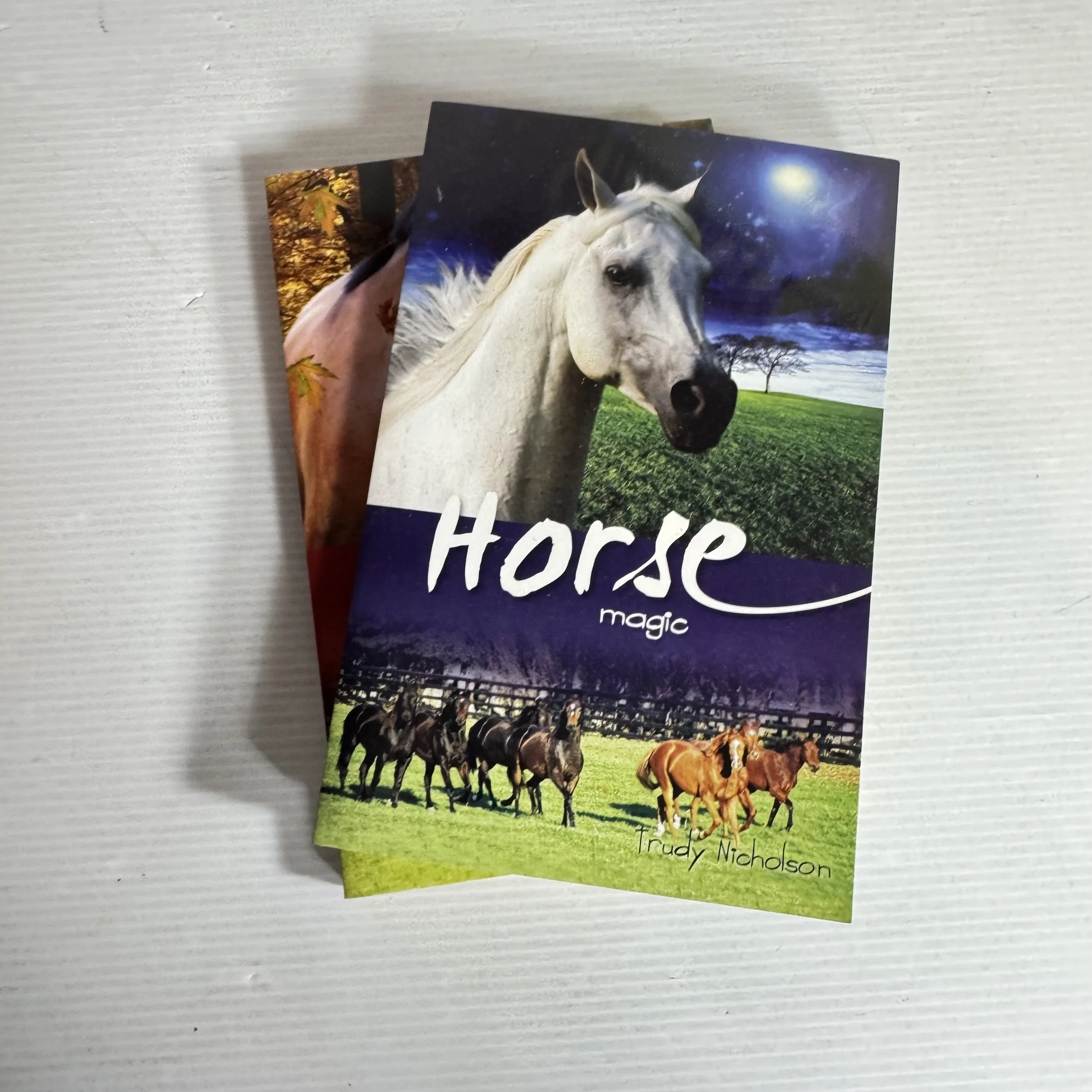 Children's Horse Book Bundle x 2 by Trudy Nicolson - Horse Magic & Autumn with Horses