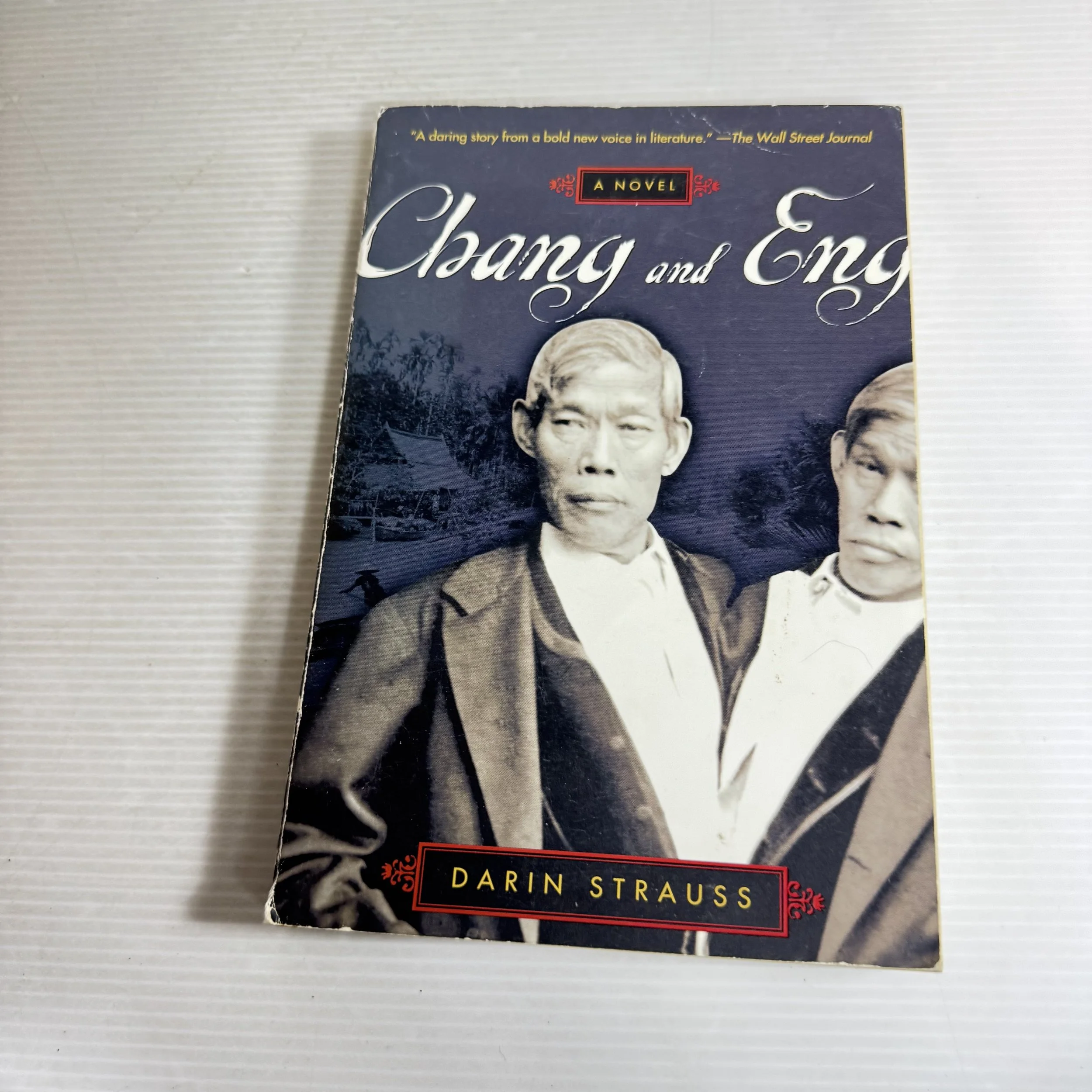 Chang And Eng - Darin Strauss
