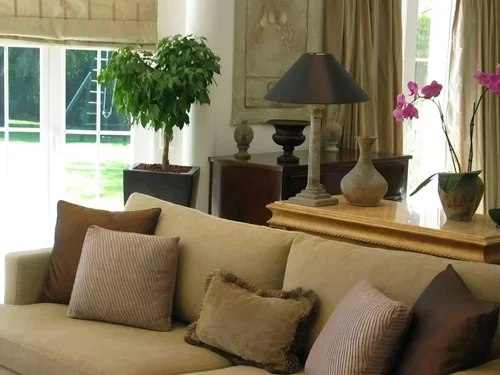 Projet  d'Aménagement Maison Néo Classique