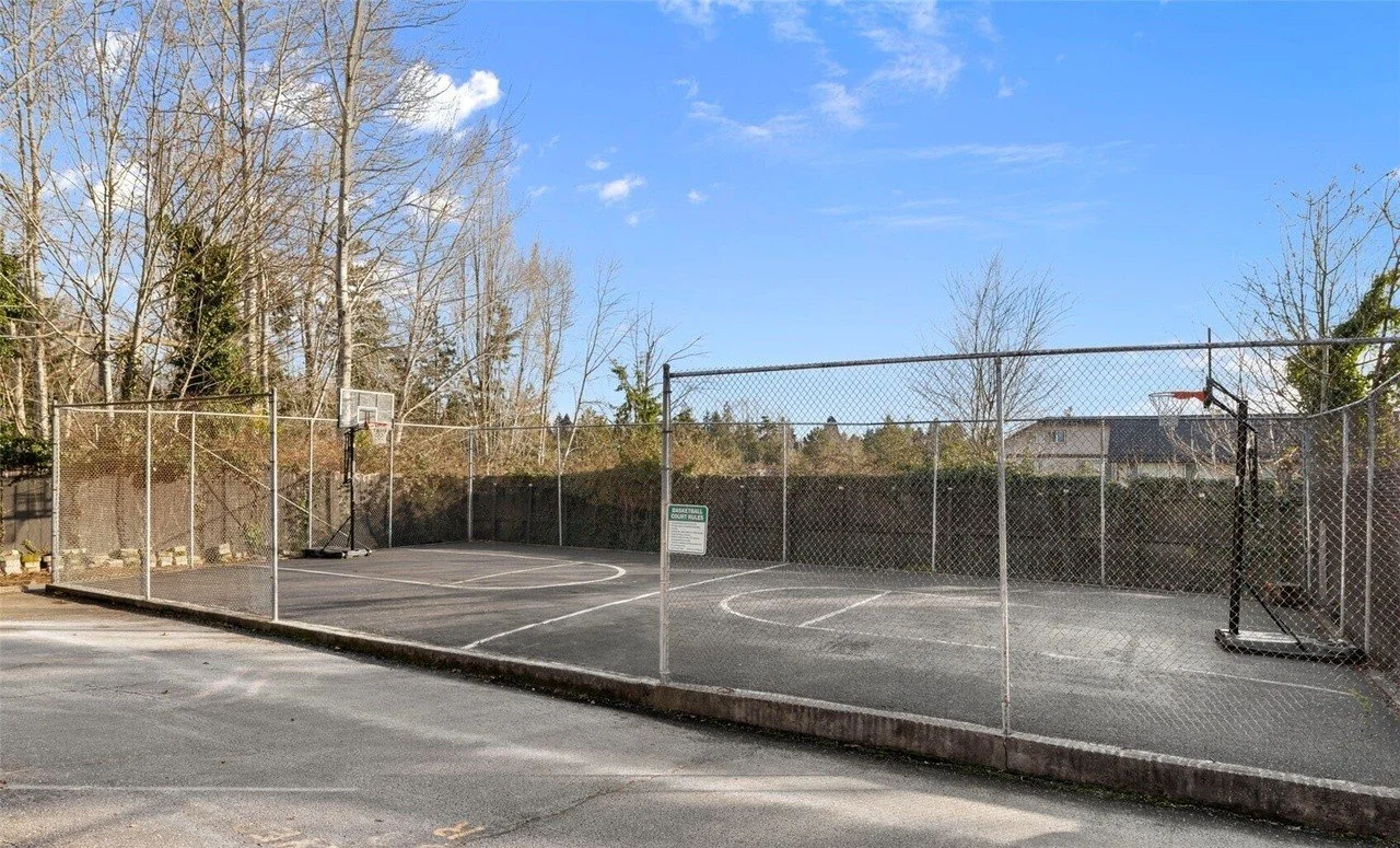 An outdoor basketball court with two hoops, surrounded by a chain-link fence, in a neighborhood with trees and houses in the background under a blue sky.