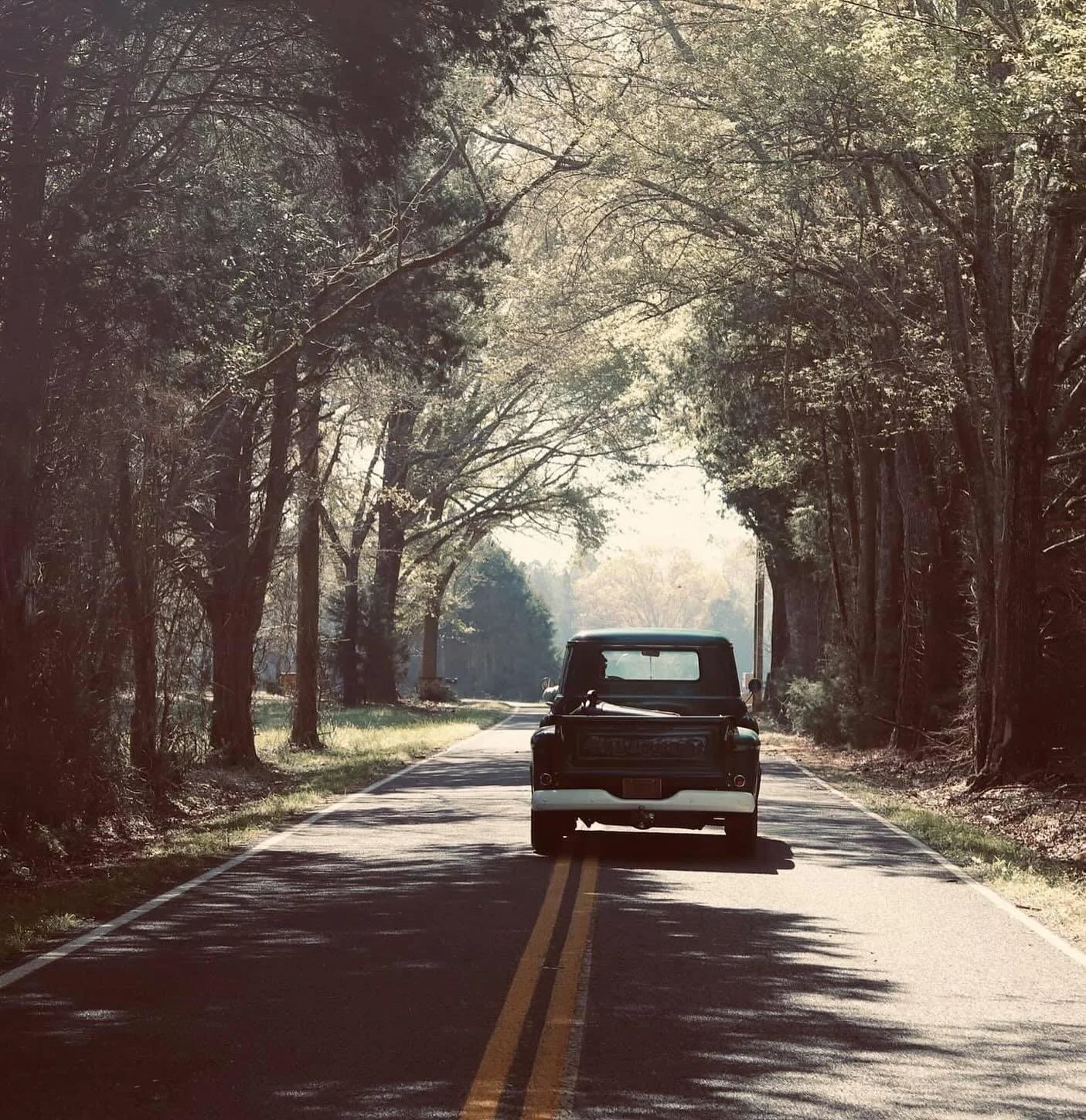 Sunday Drives are coming. Subscribe &amp; ride with me &mdash; link in bio.
#sundaydrive #southcarolina #boutiquelife #preserveandco #southerncharm