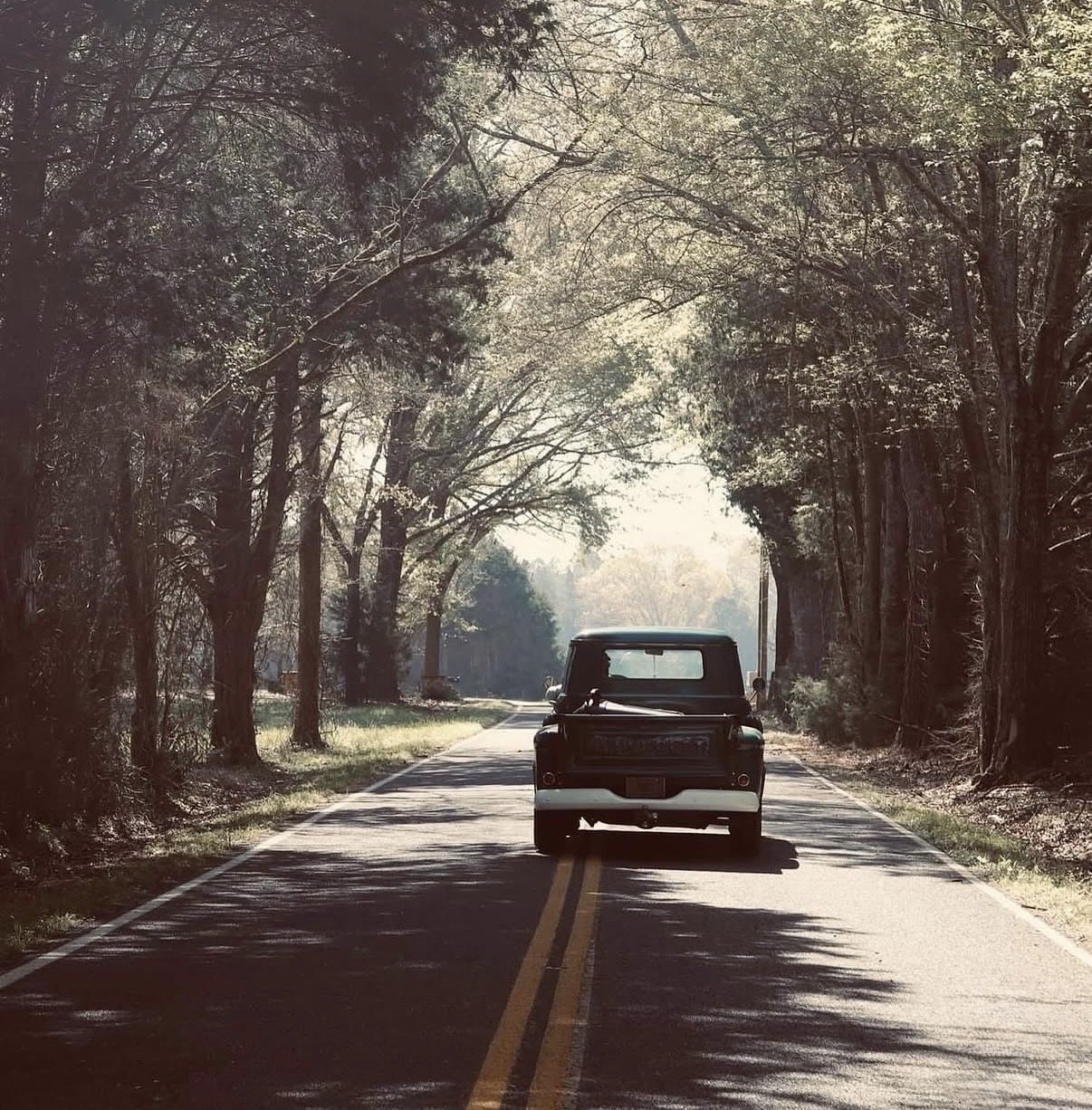 A black vintage truck driving down a tree-lined country road with shadows cast by the trees and sunlight filtering through the branches.