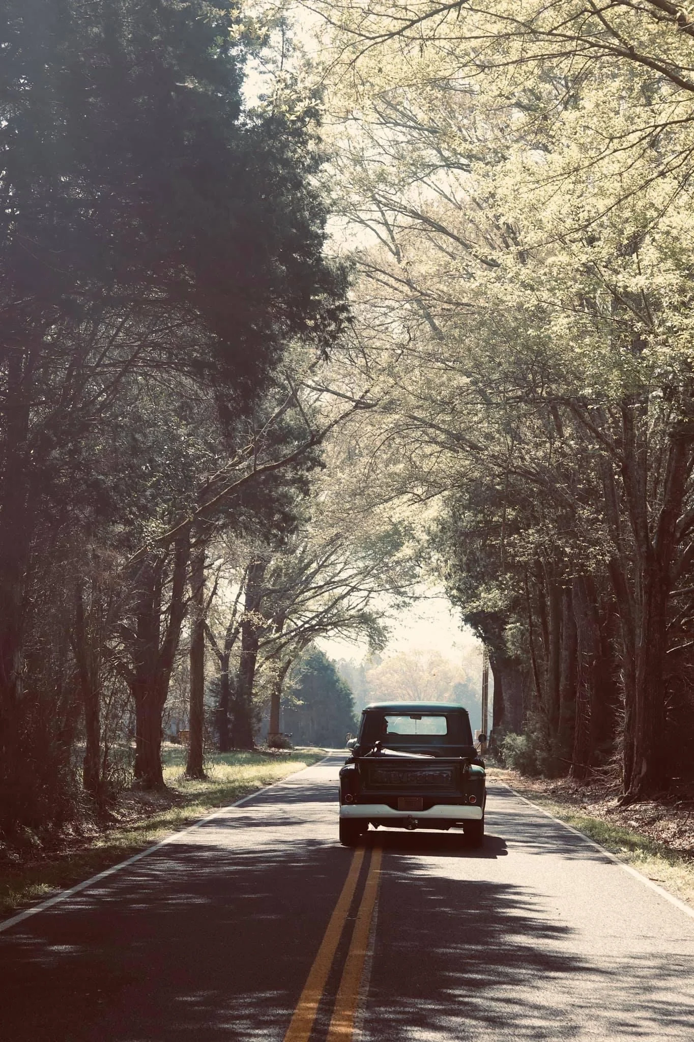 A vintage pickup truck driving down a quiet rural road surrounded by tall trees with sunlight filtering through the branches.