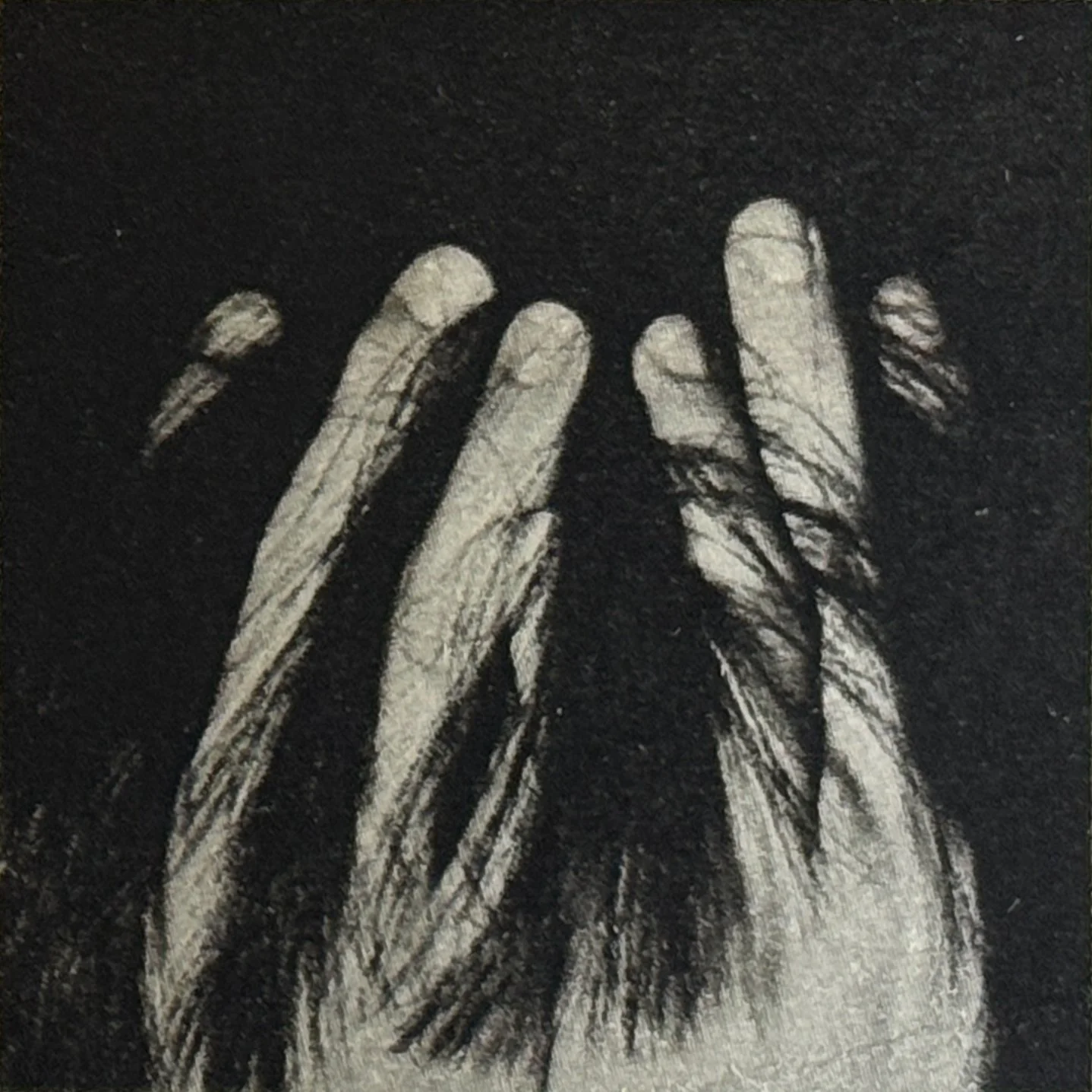 A Photographer Who Toys with Resemblance — On the Work of Issei Suda