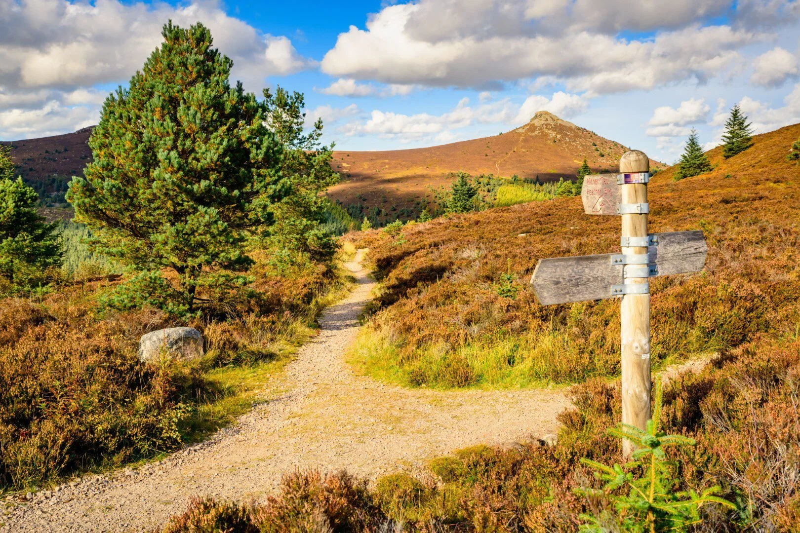 Exploring Scotland Responsibly: Simple Ways to Travel More Sustainably This Summer