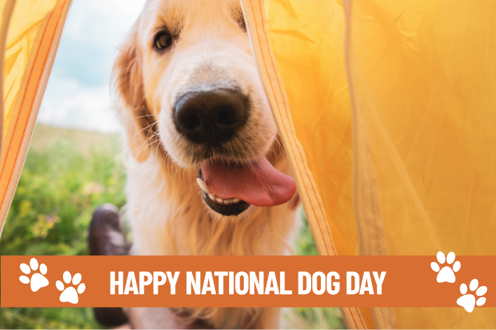 Happy National Dog Day - The Getaway Show