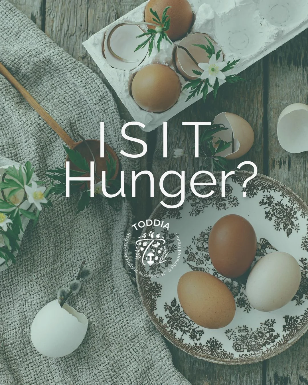 Hunger Hormones: Why Your Body Is Asking for Food (and Why That Matters)