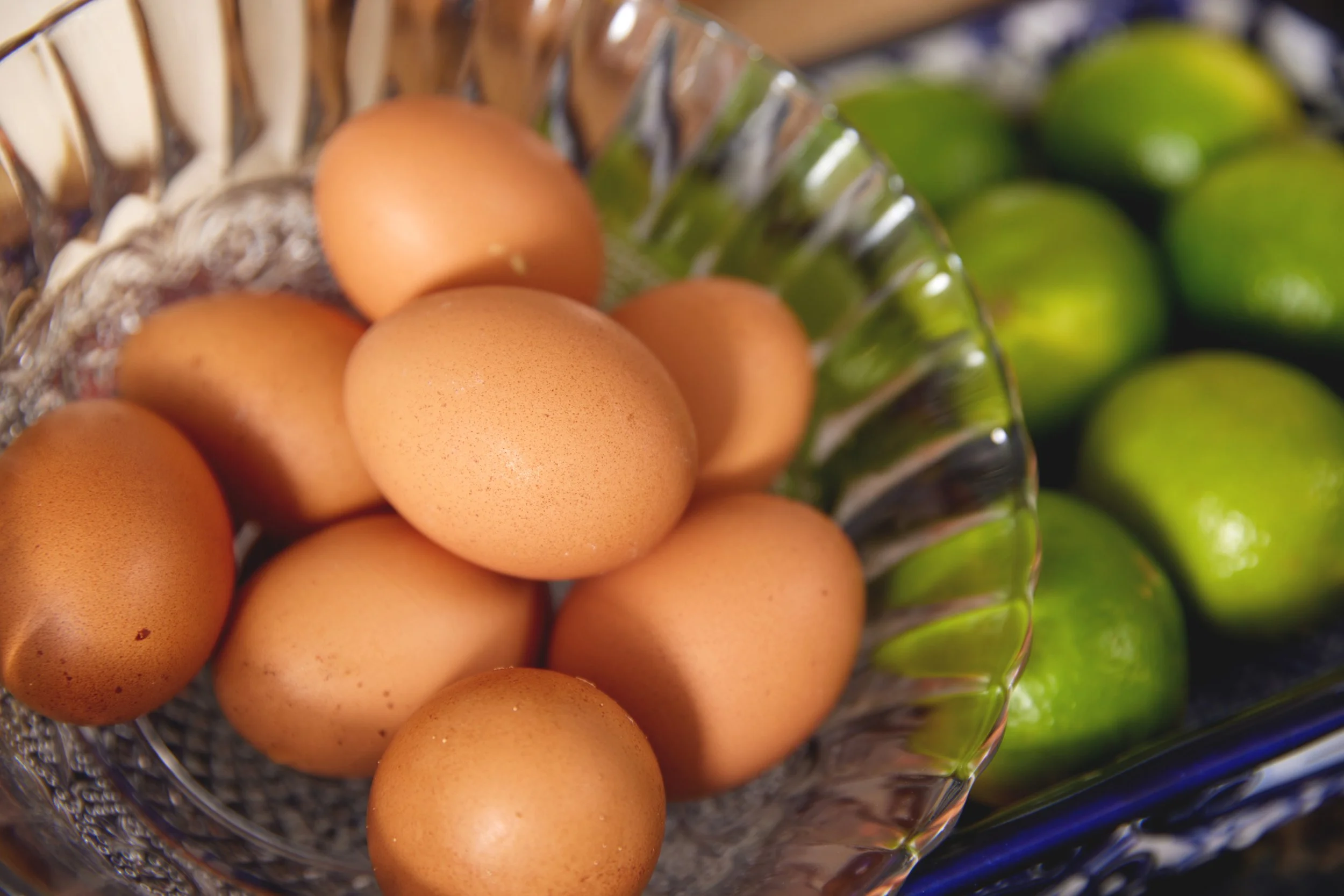 Is protein slowing down your weight loss journey? 