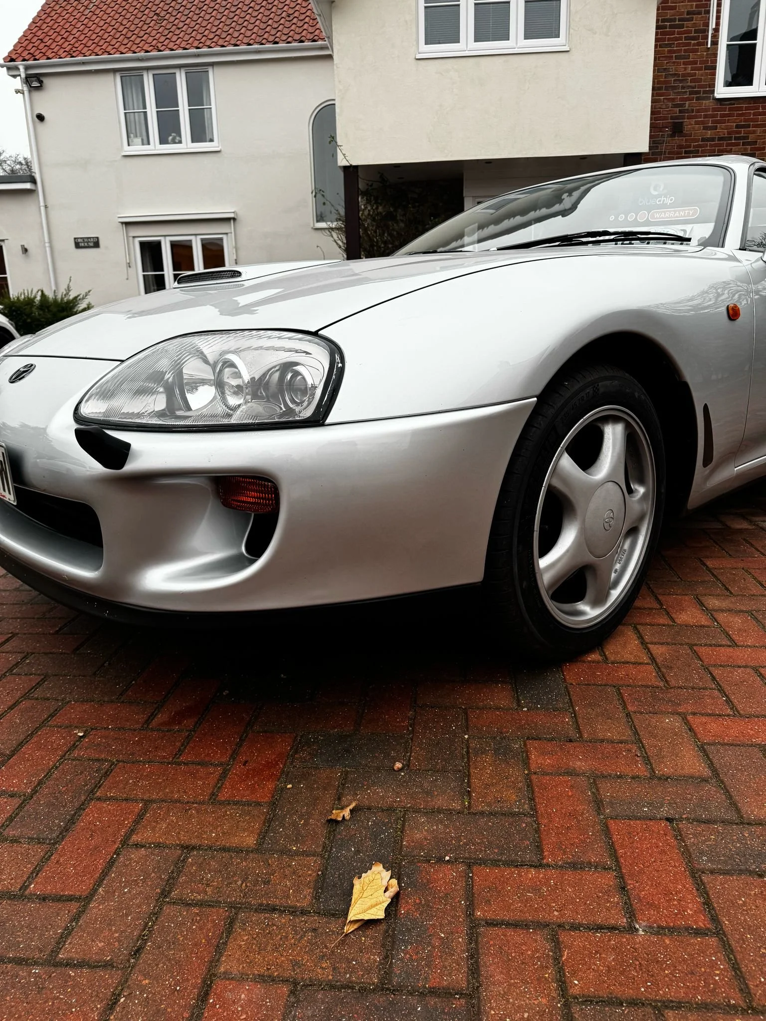 WhatsApp Image 2025-02-08 at 17.41.16 (1).jpeg