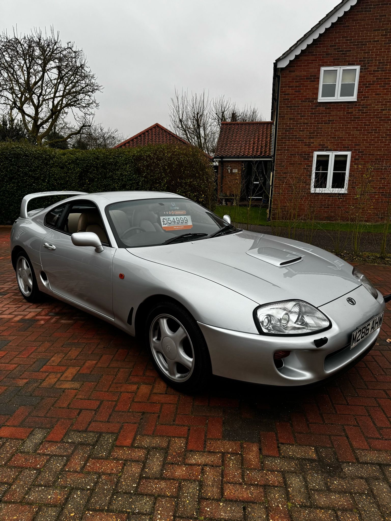 WhatsApp Image 2025-02-08 at 17.41.17 (5).jpeg