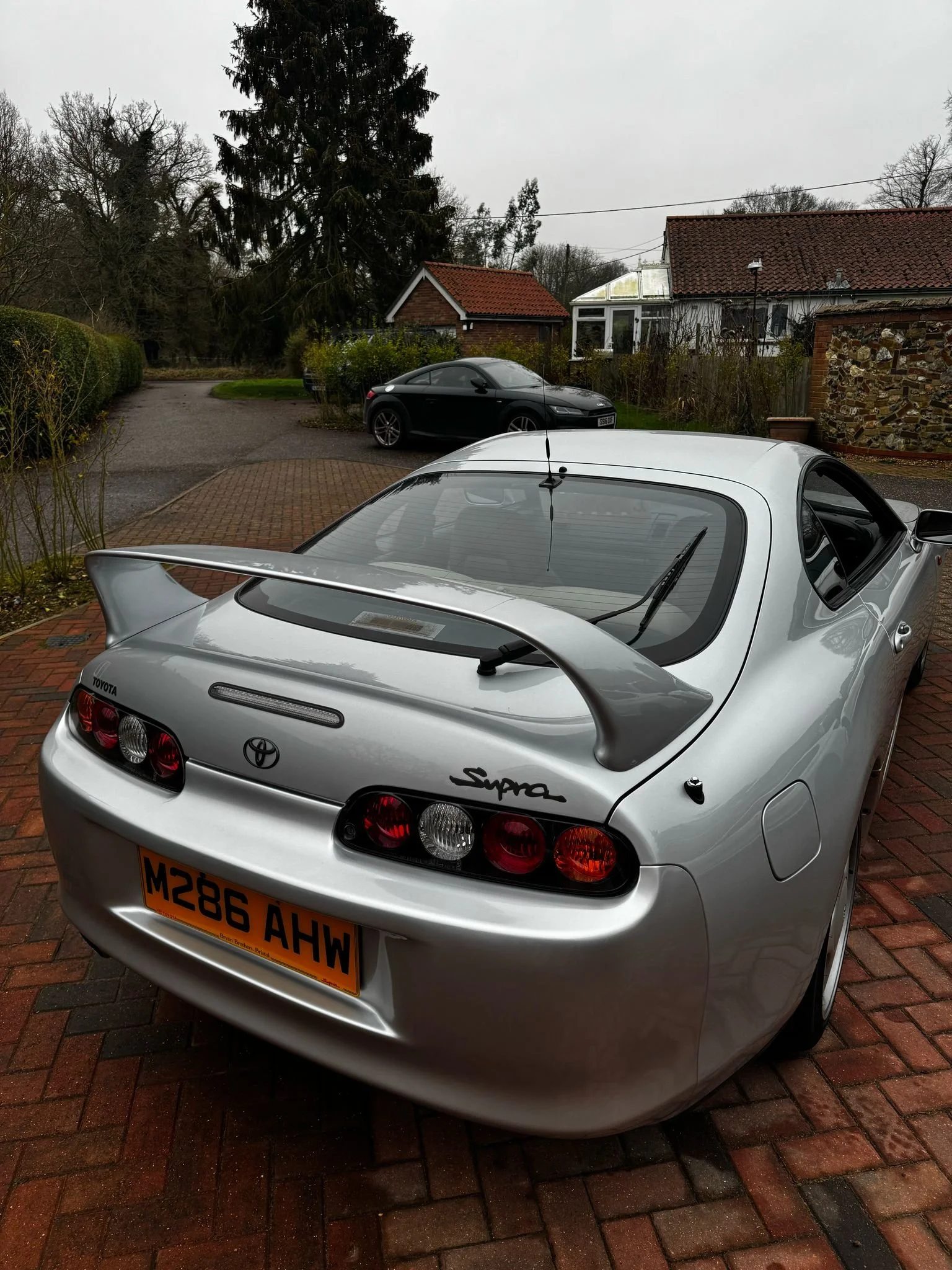 WhatsApp Image 2025-02-08 at 17.41.17.jpeg