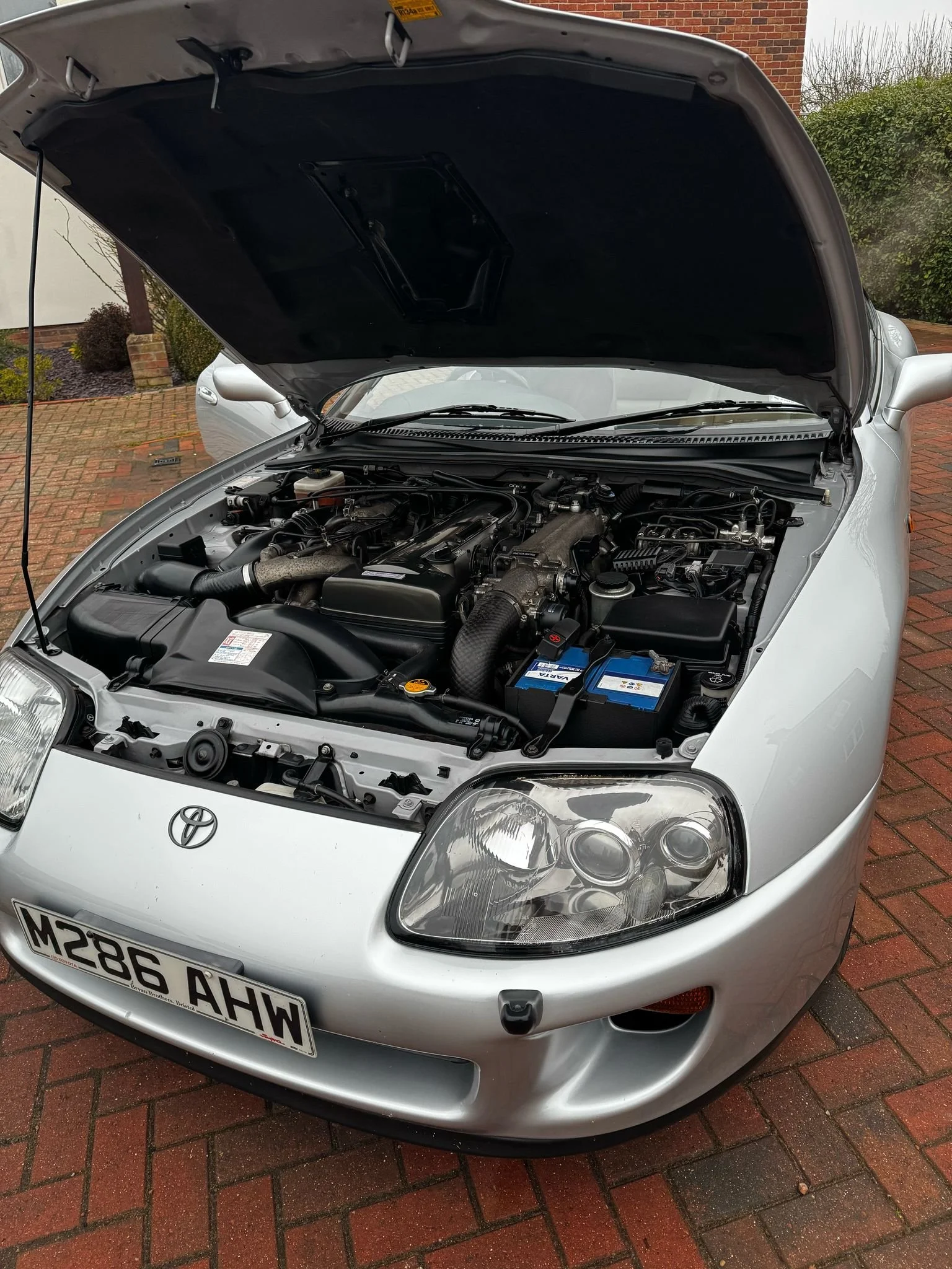 WhatsApp Image 2025-02-08 at 17.41.18.jpeg