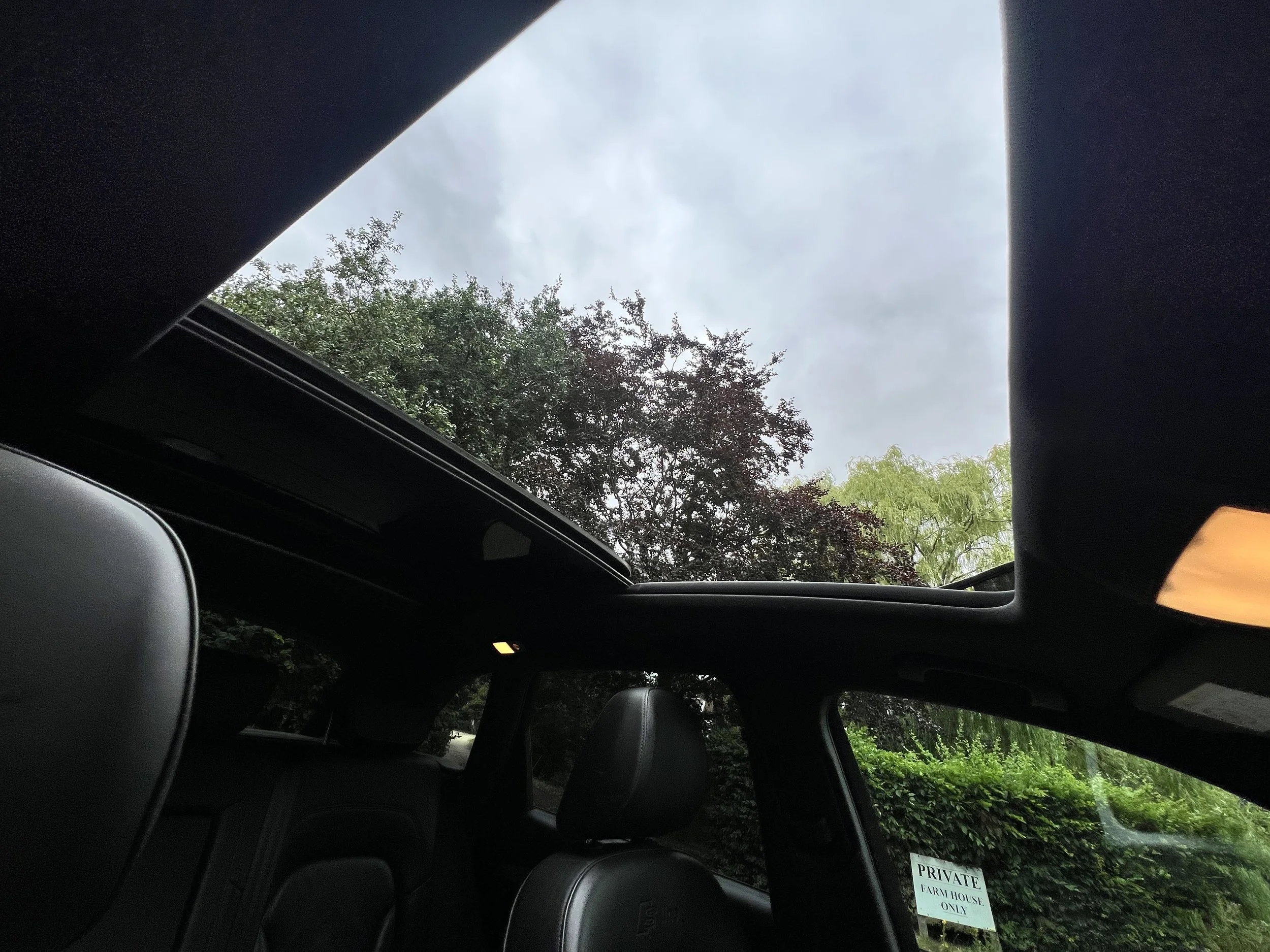 IMG_7728.jpeg