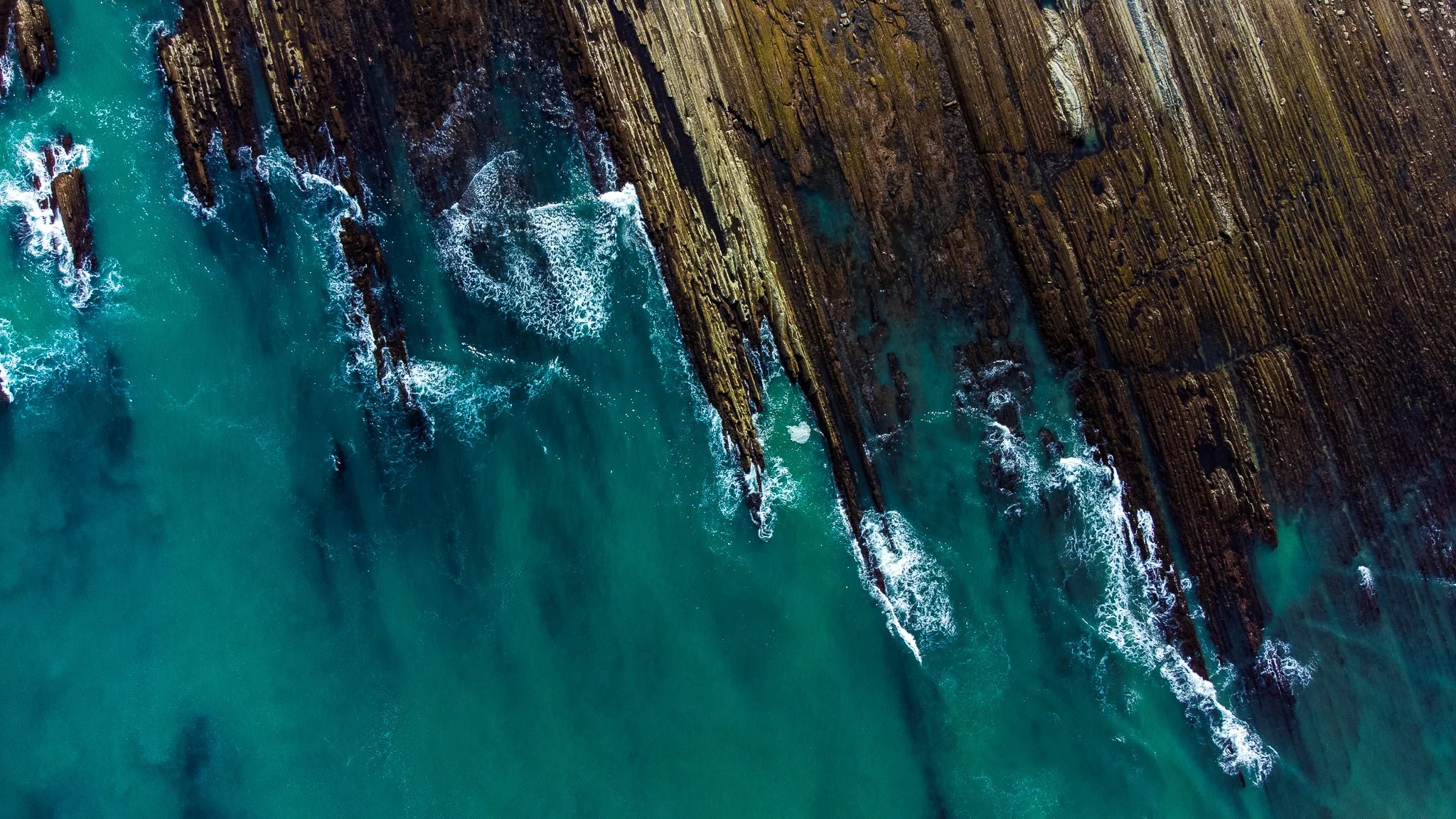 DJI_0788.jpg