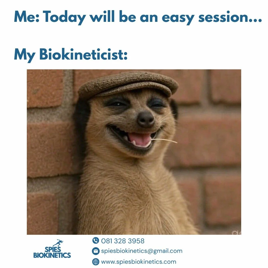 You say “easy session”...
Your Biokineticist says “Just one more set 😈”
#BiokineticsNamibia #SpiesBiokinetics #MeerkatMeme