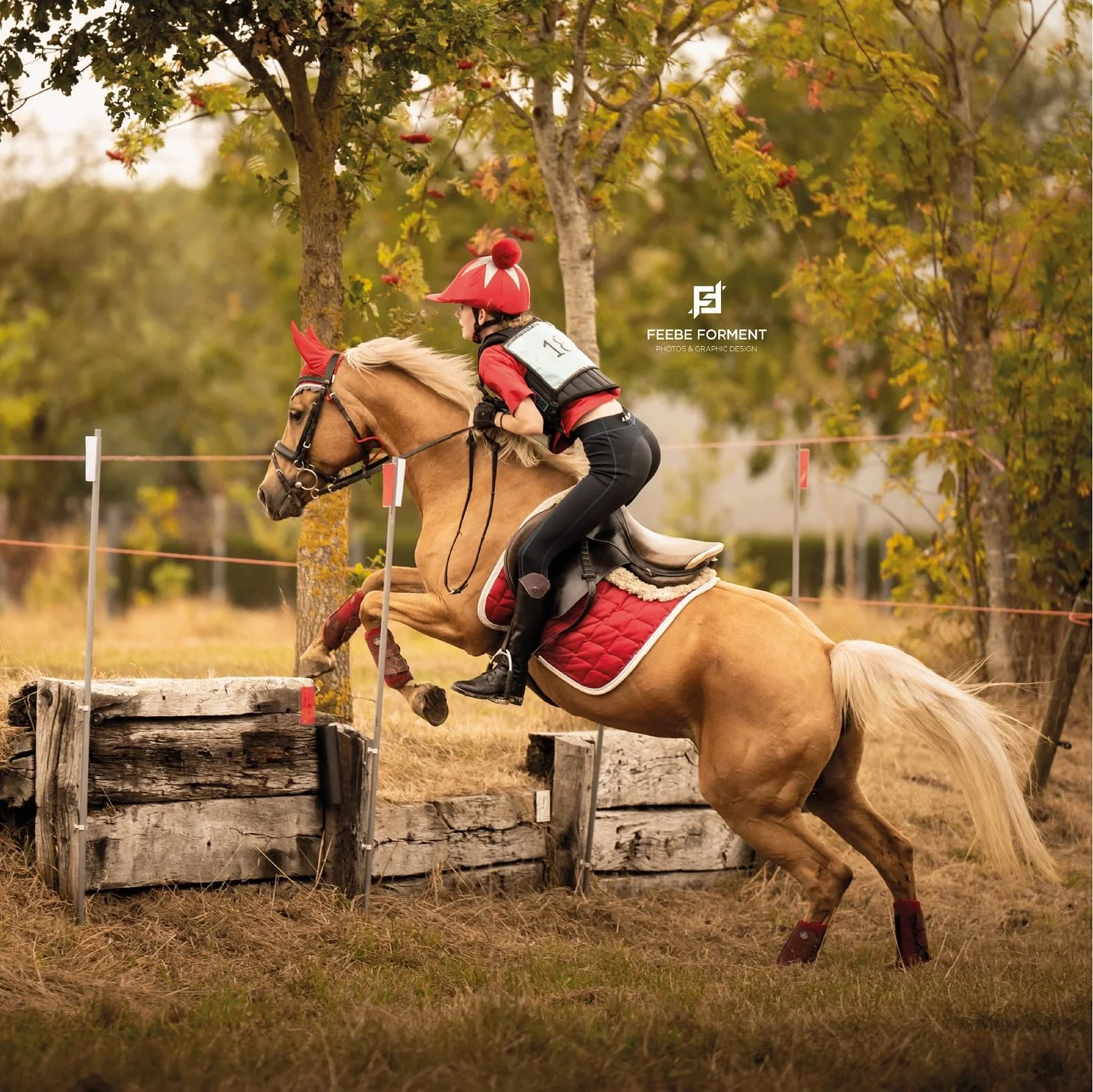 De eerste foto&rsquo;s van de Oud Leykencross staan online! 📸🐴

Swipe, spot jezelf en bestel je favoriete momenten via:
feebeforment.pixieset.com/oudleykencross

De foto&rsquo;s van 40&ndash;60 cm pony, 40&ndash;60 cm paard &amp; 30 cm initiatiepro